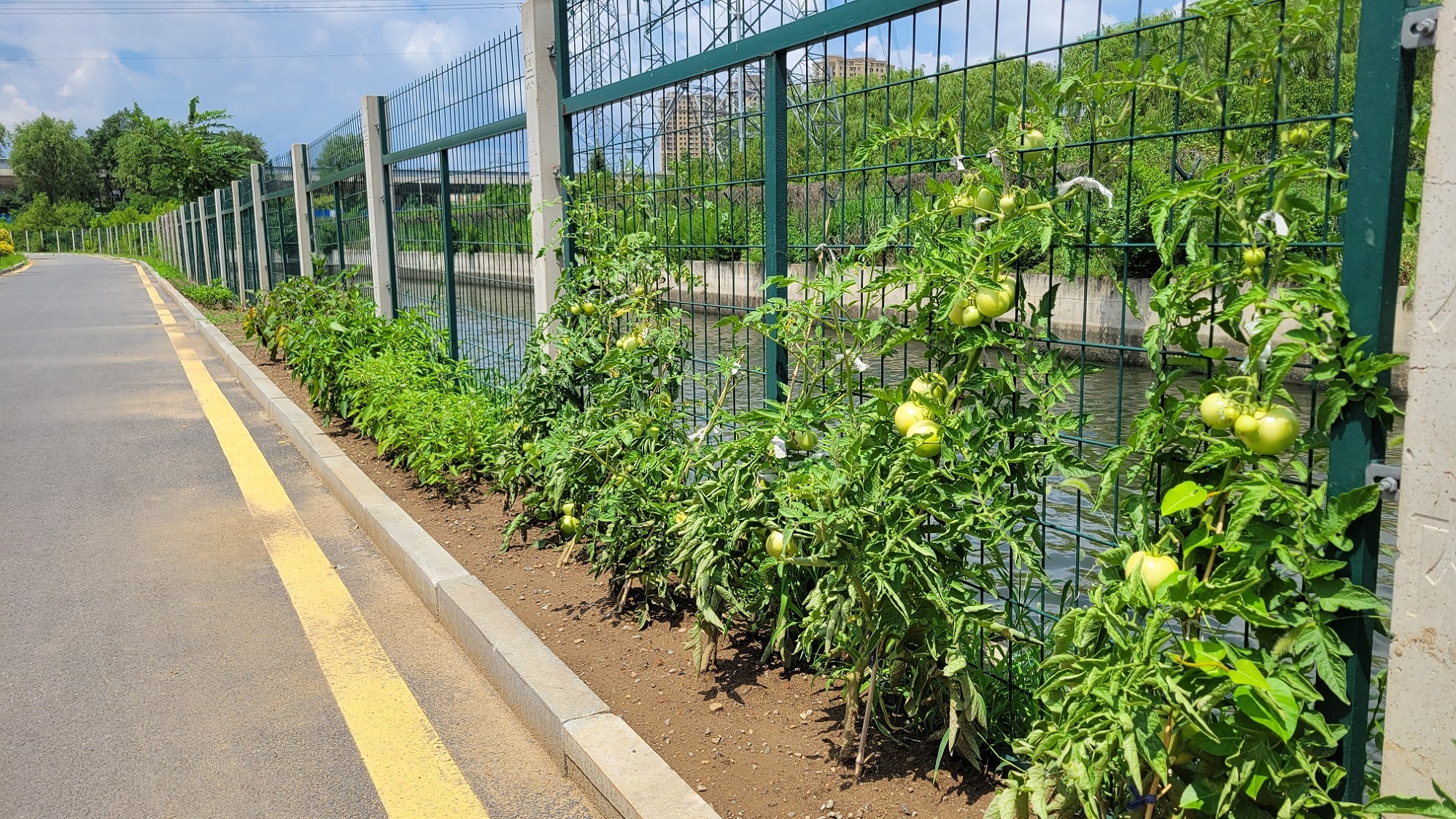 20230711_123859.jpg