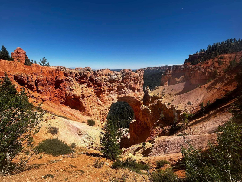 bryce2.jpg