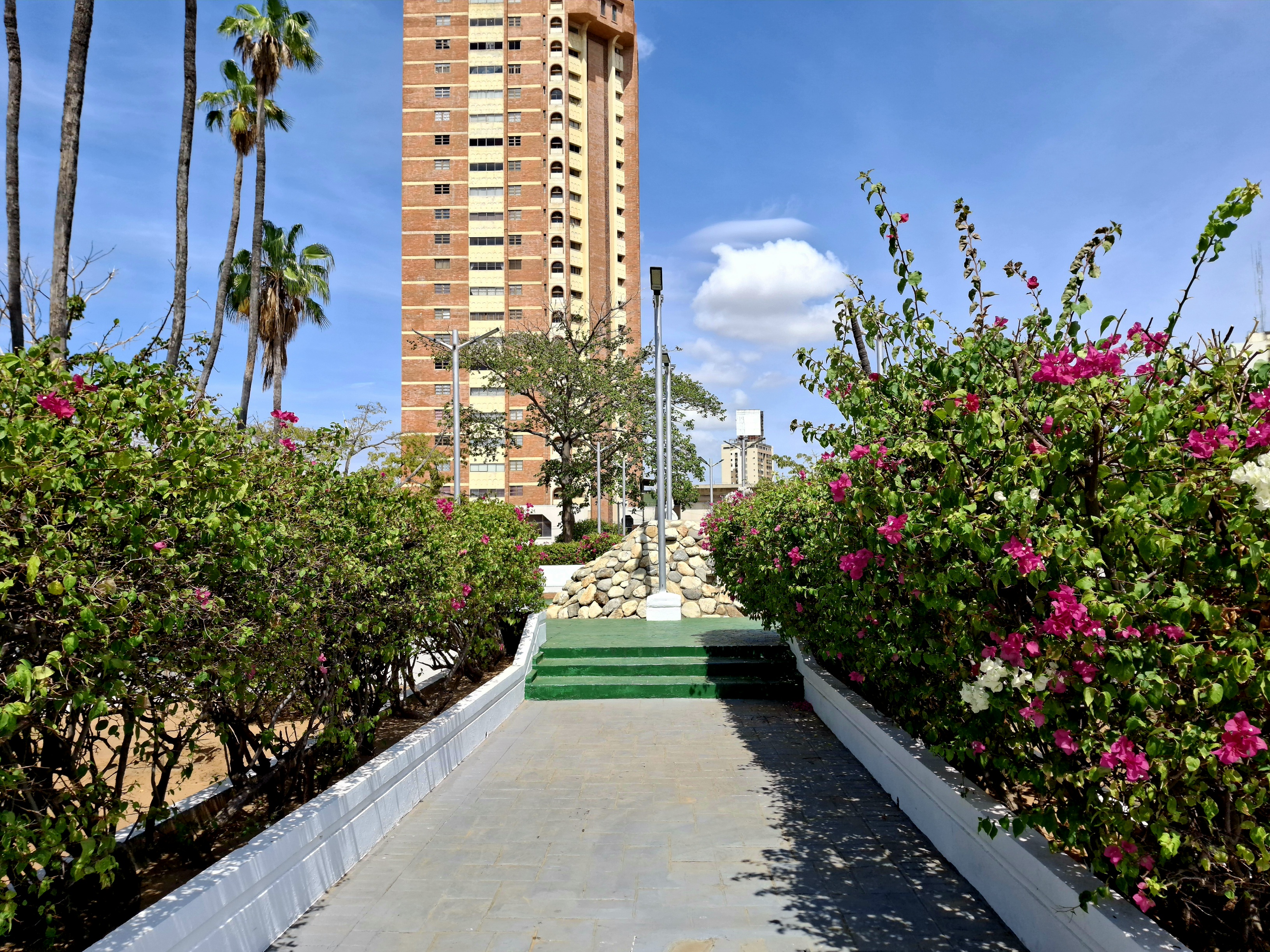 20250726_105516.jpg