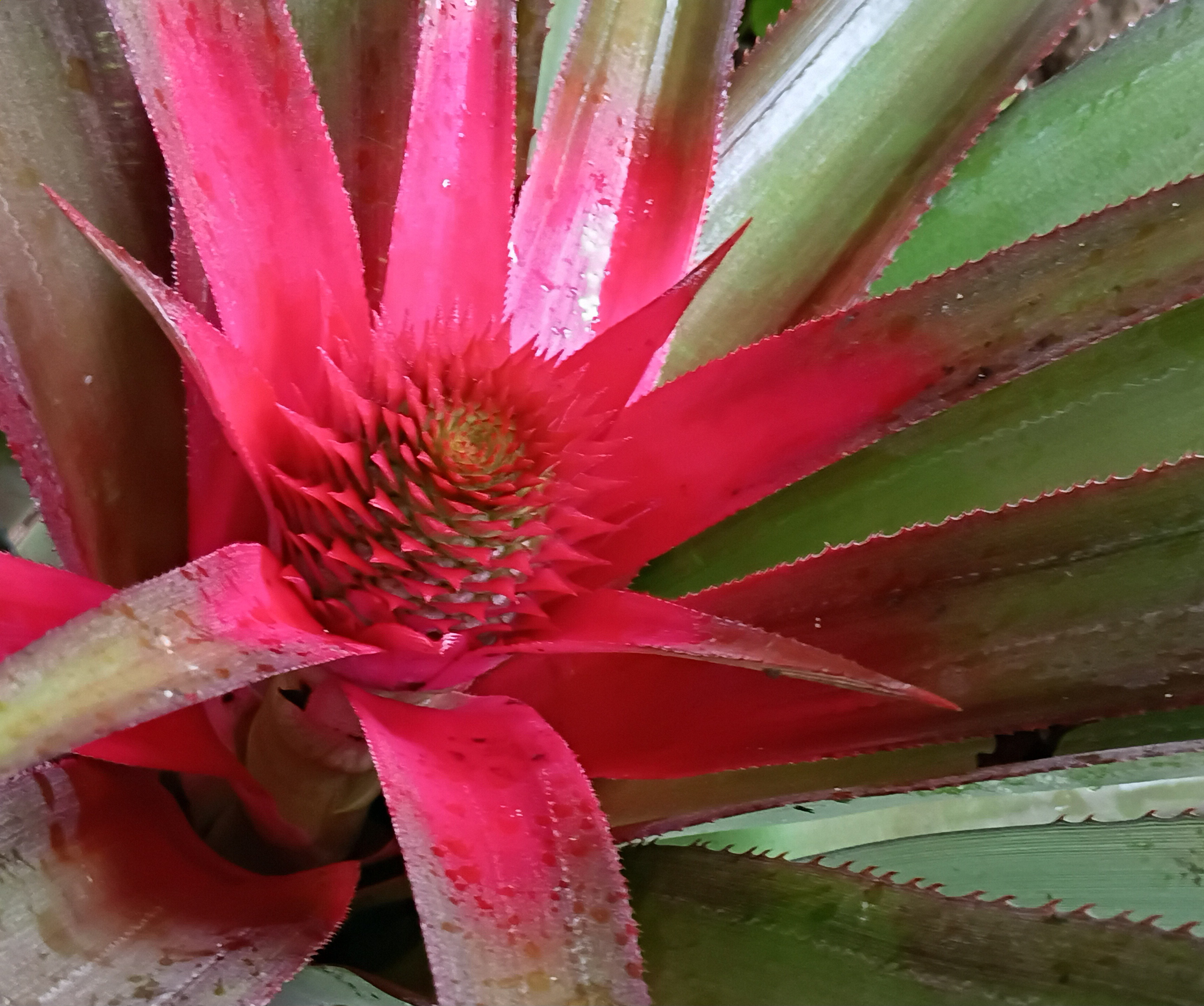 20250731_091630.jpg