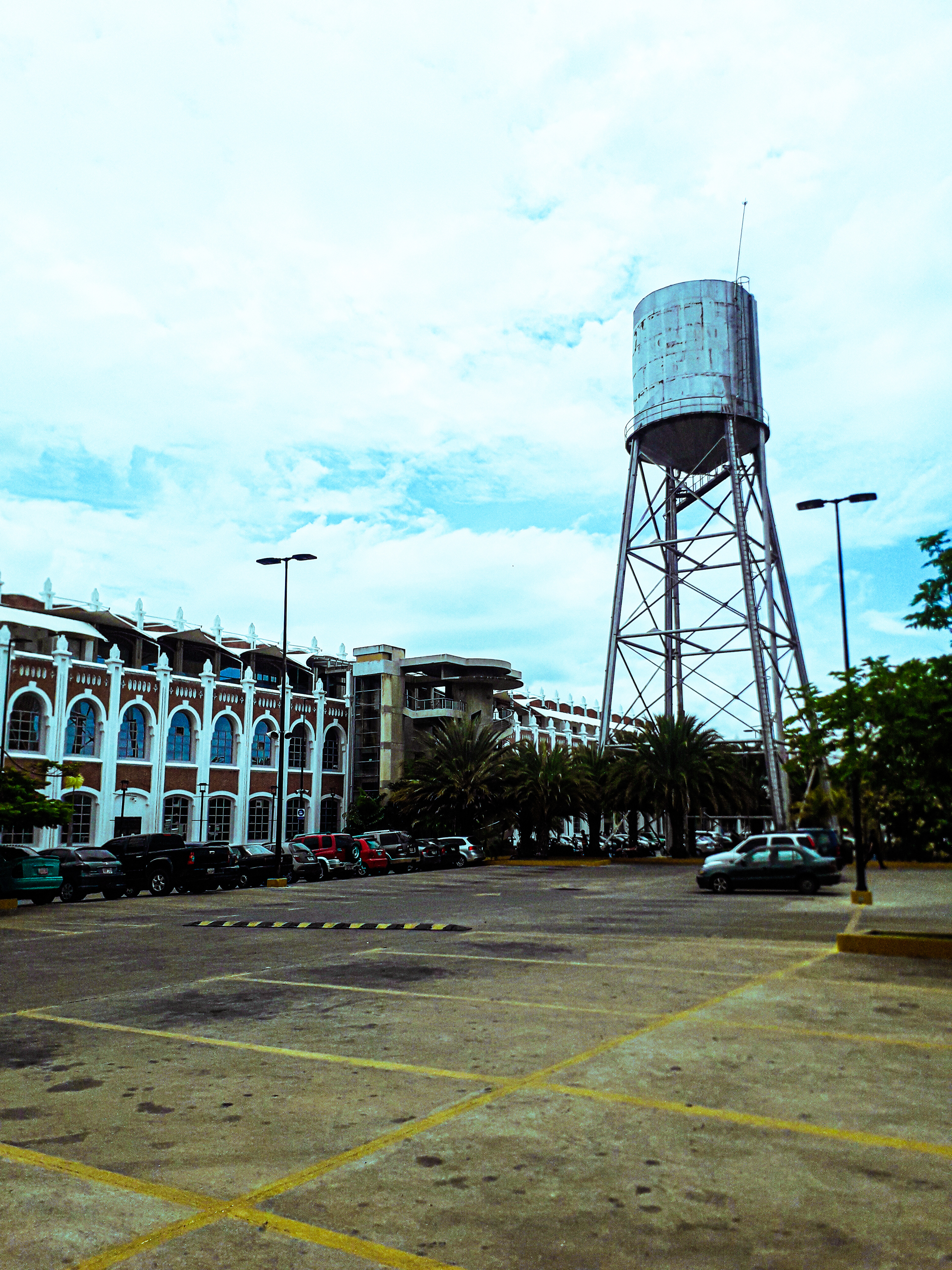 20250406_115657.jpg
