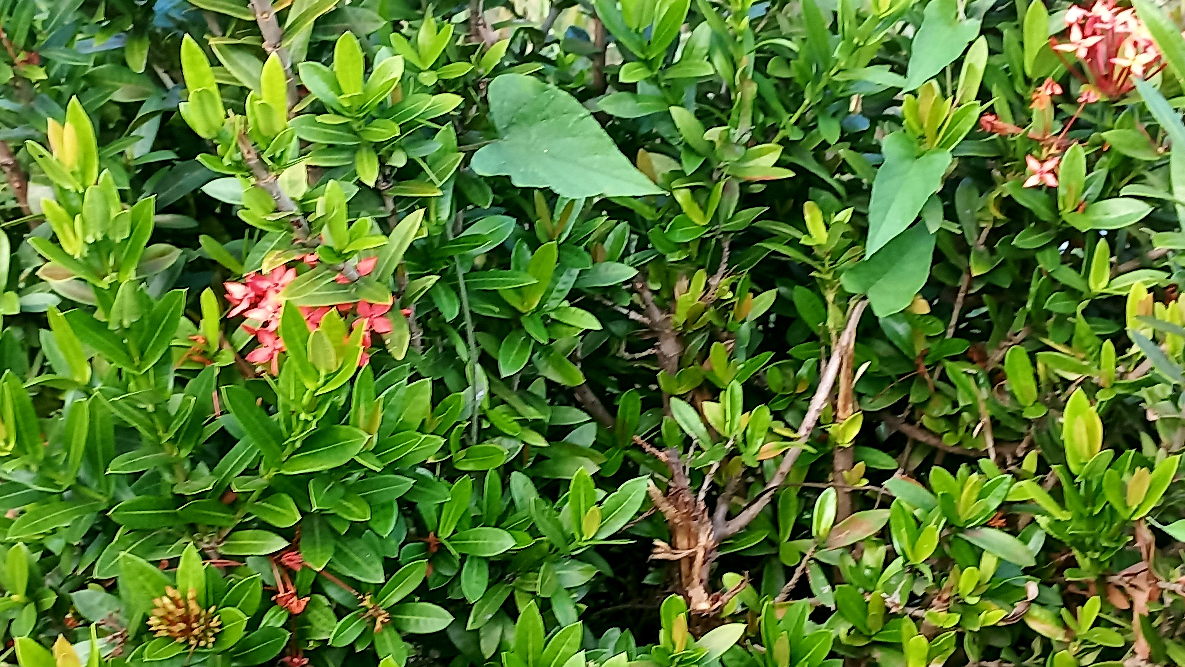 20250109_131234.jpg