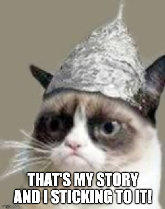 Screenshot 2022-06-11 at 18-44-03 Grumpy Cat Tin Foil Meme Generator - Imgflip.png