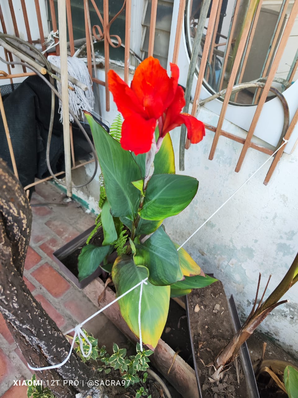 Sin título-1.jpg