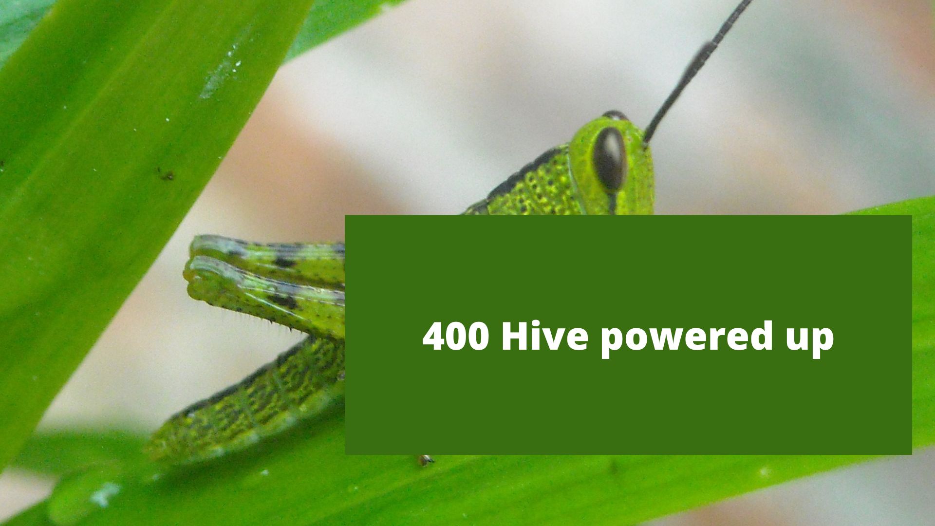 @achim03/400-hive-powered-up-today