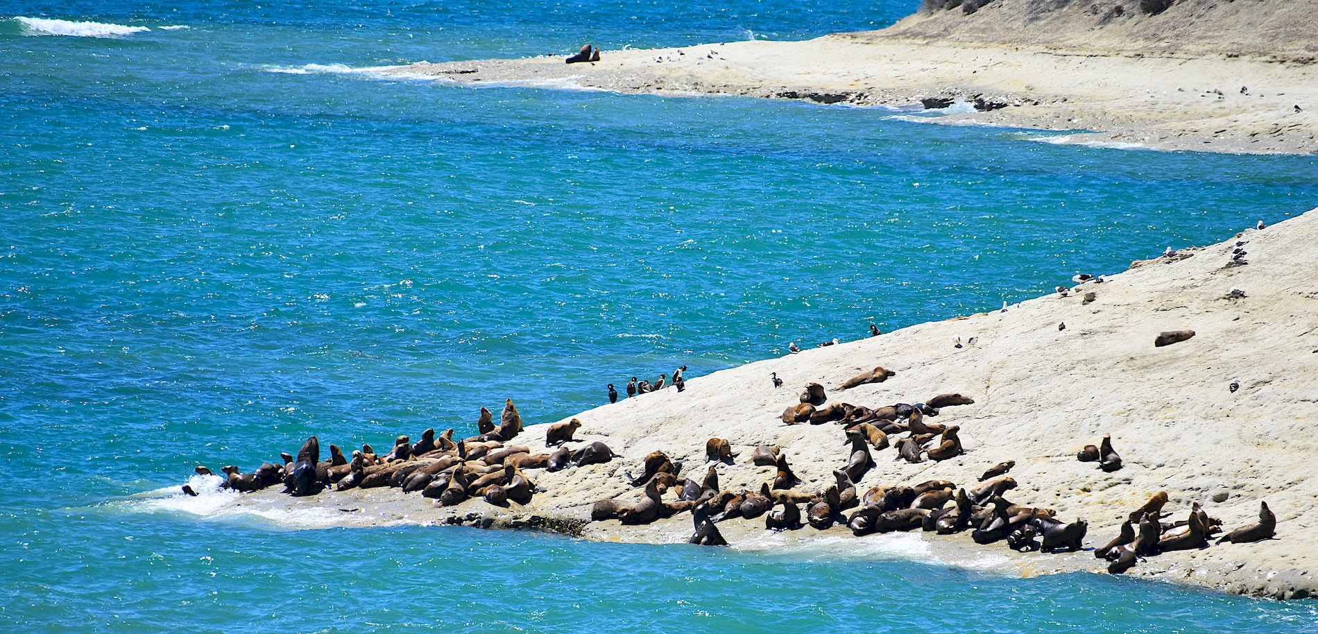 Madryn-07.jpg