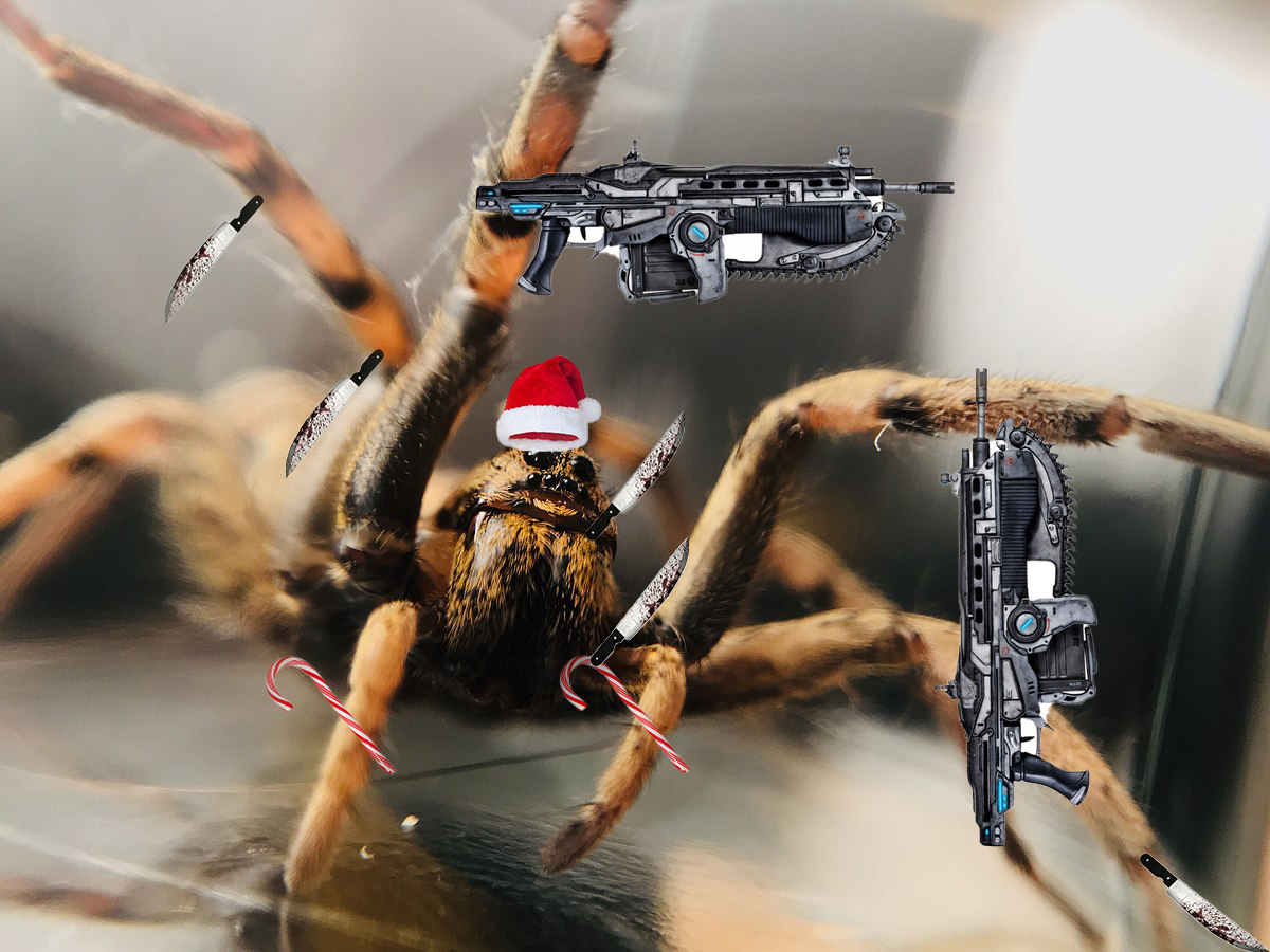 holly jolly spider.jpg