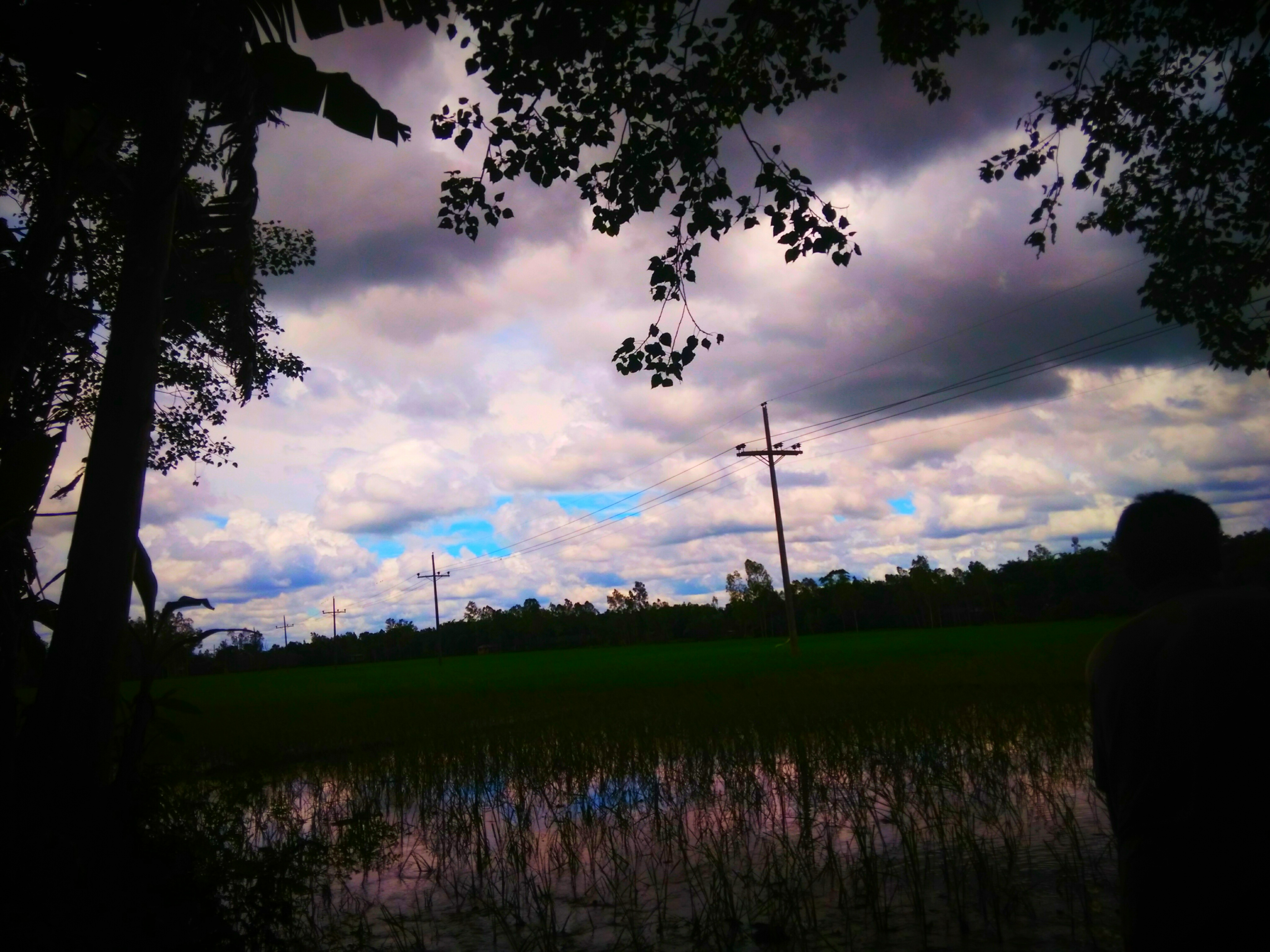 IMG_20200816_212334.jpg