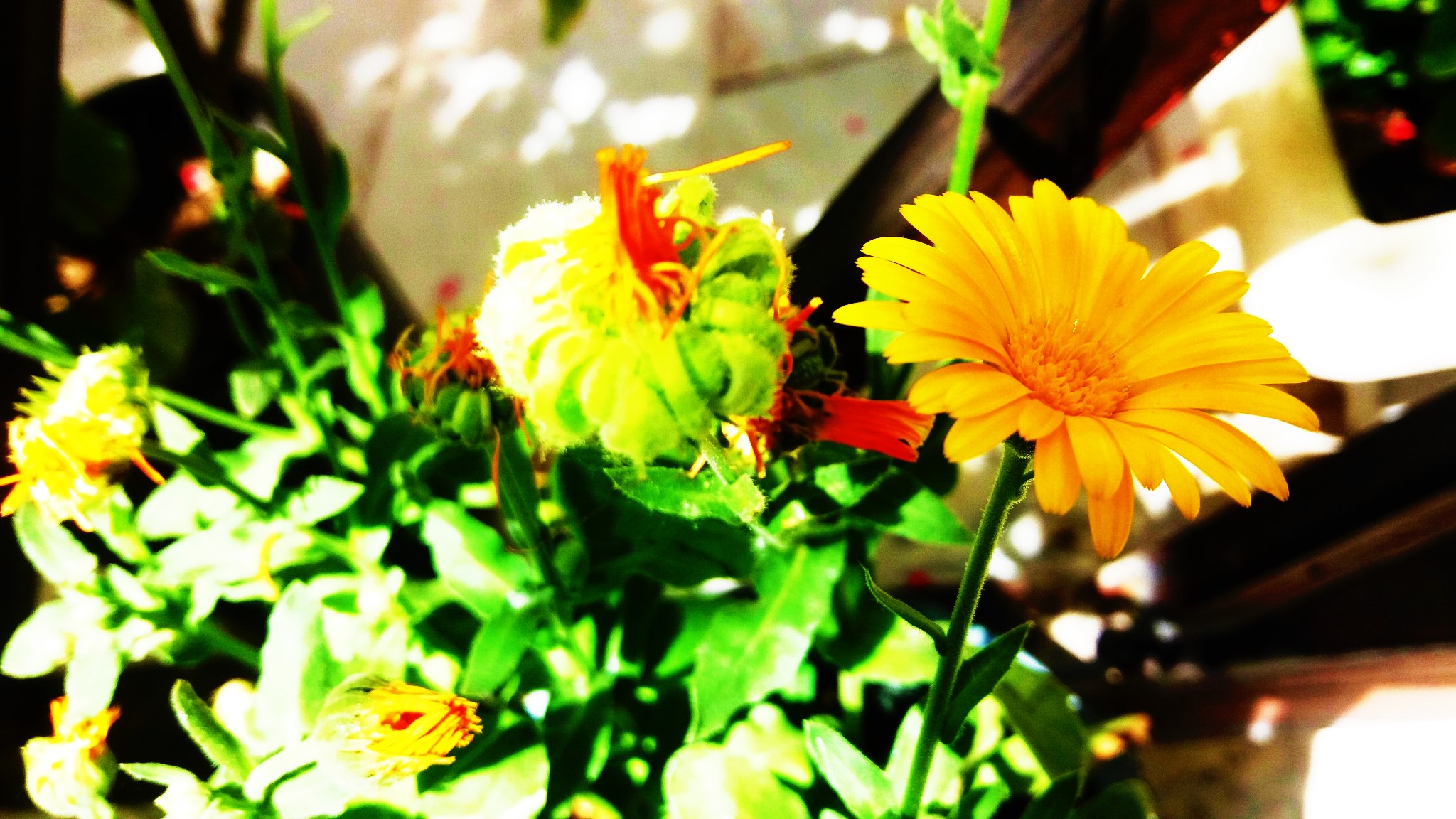CYMERA_20200519_102414.jpg