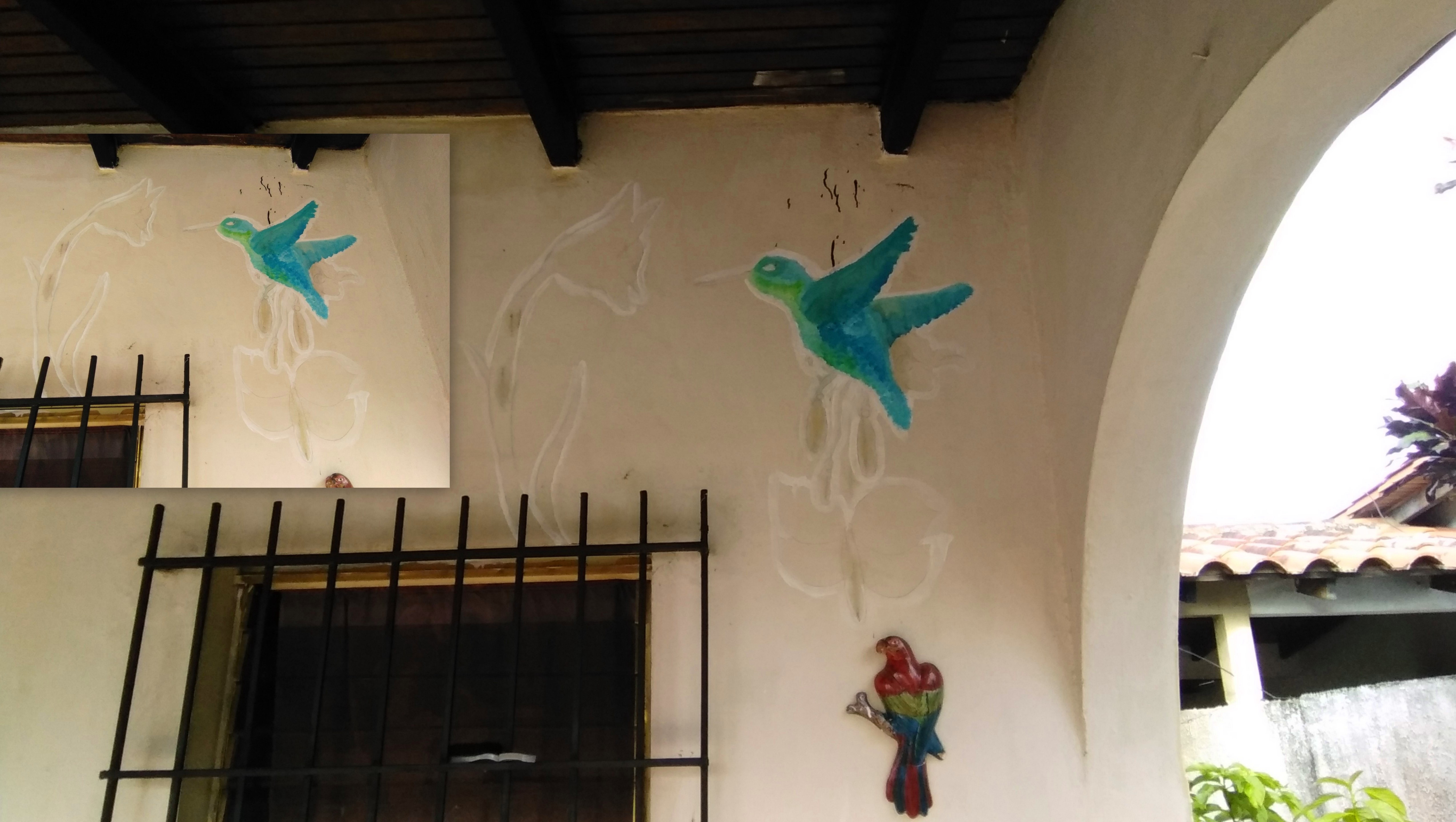 COLIBRI EN PARED MARIA8.jpg