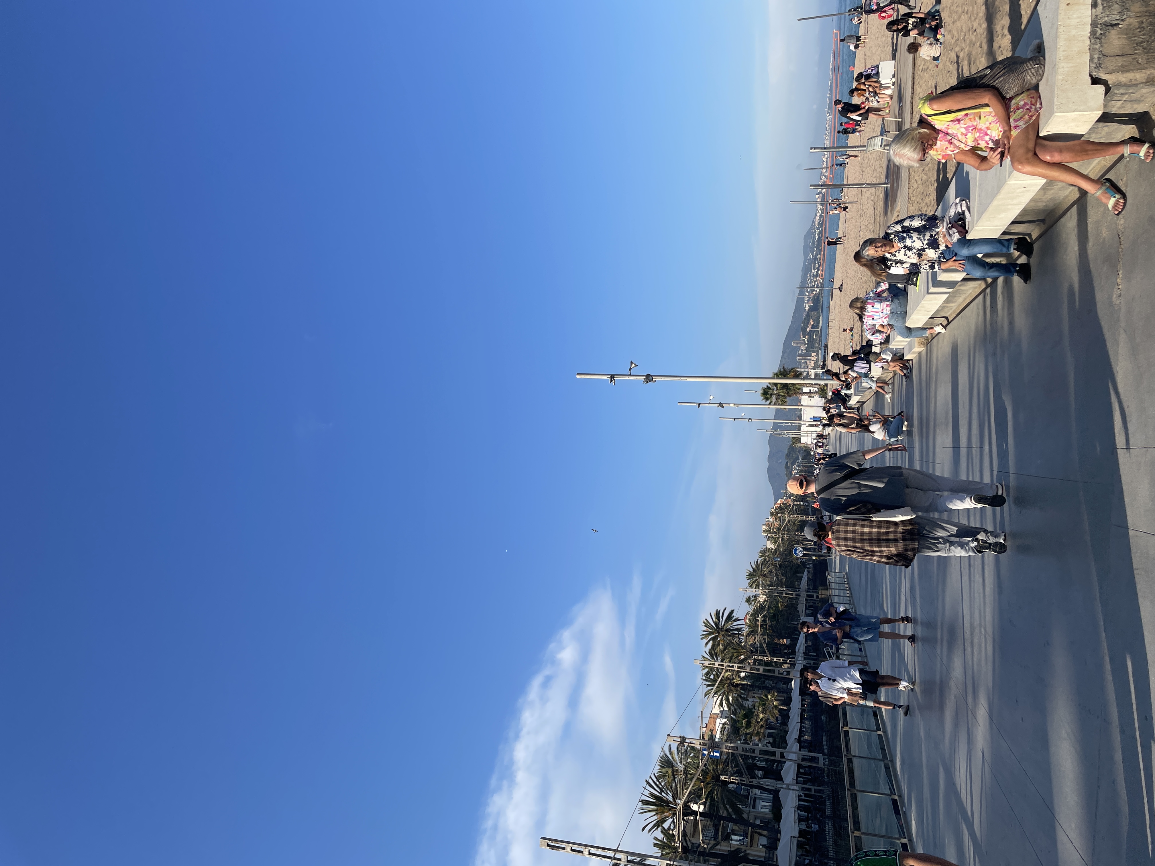 IMG_5338.jpeg