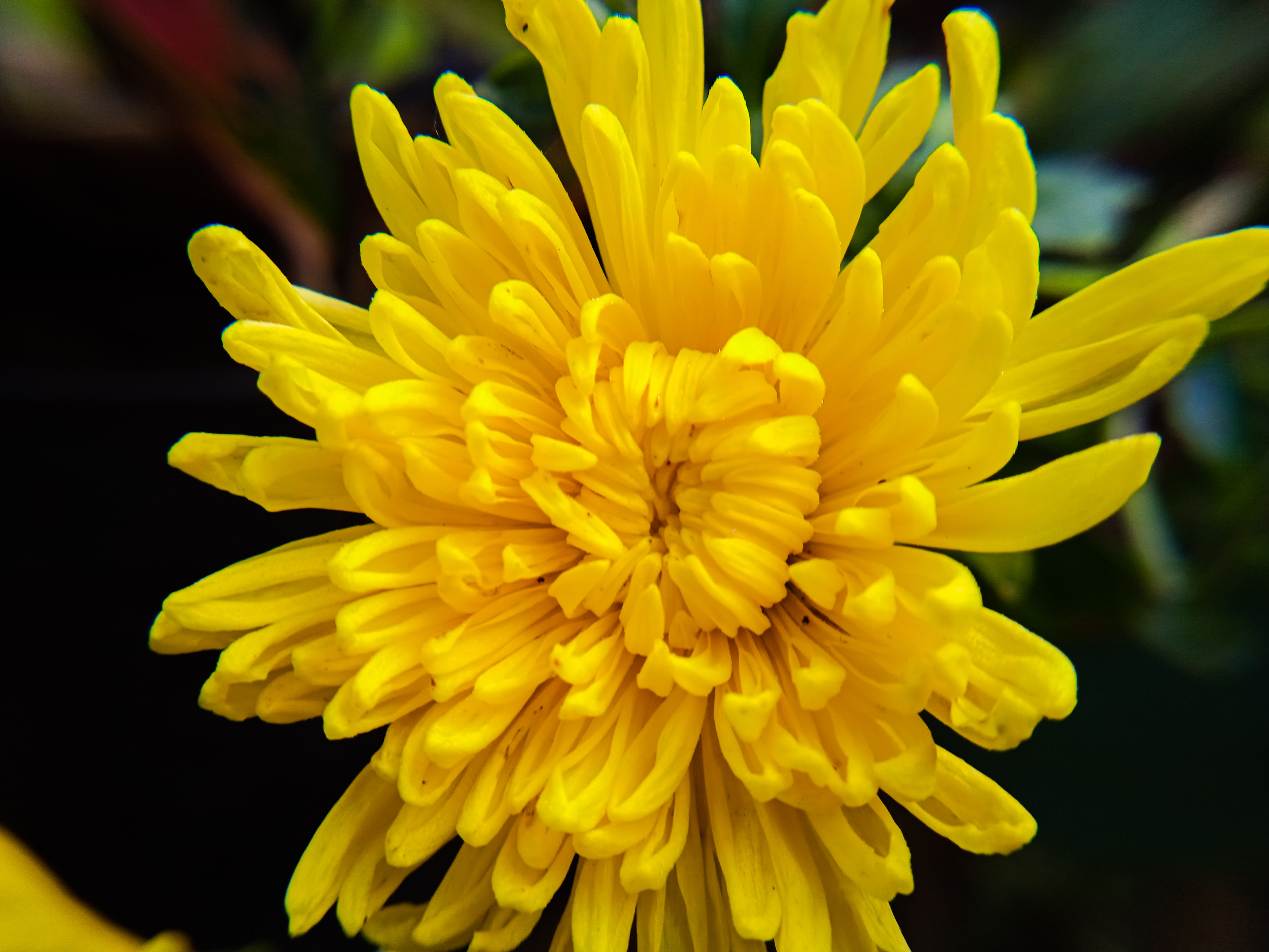 PSX_20220113_164711.jpg