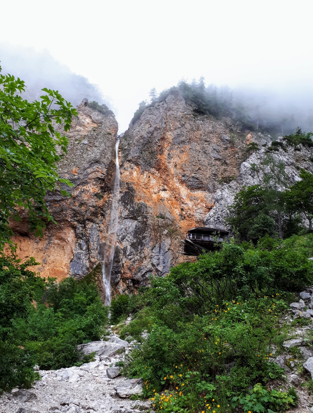 20190707_163852.jpg