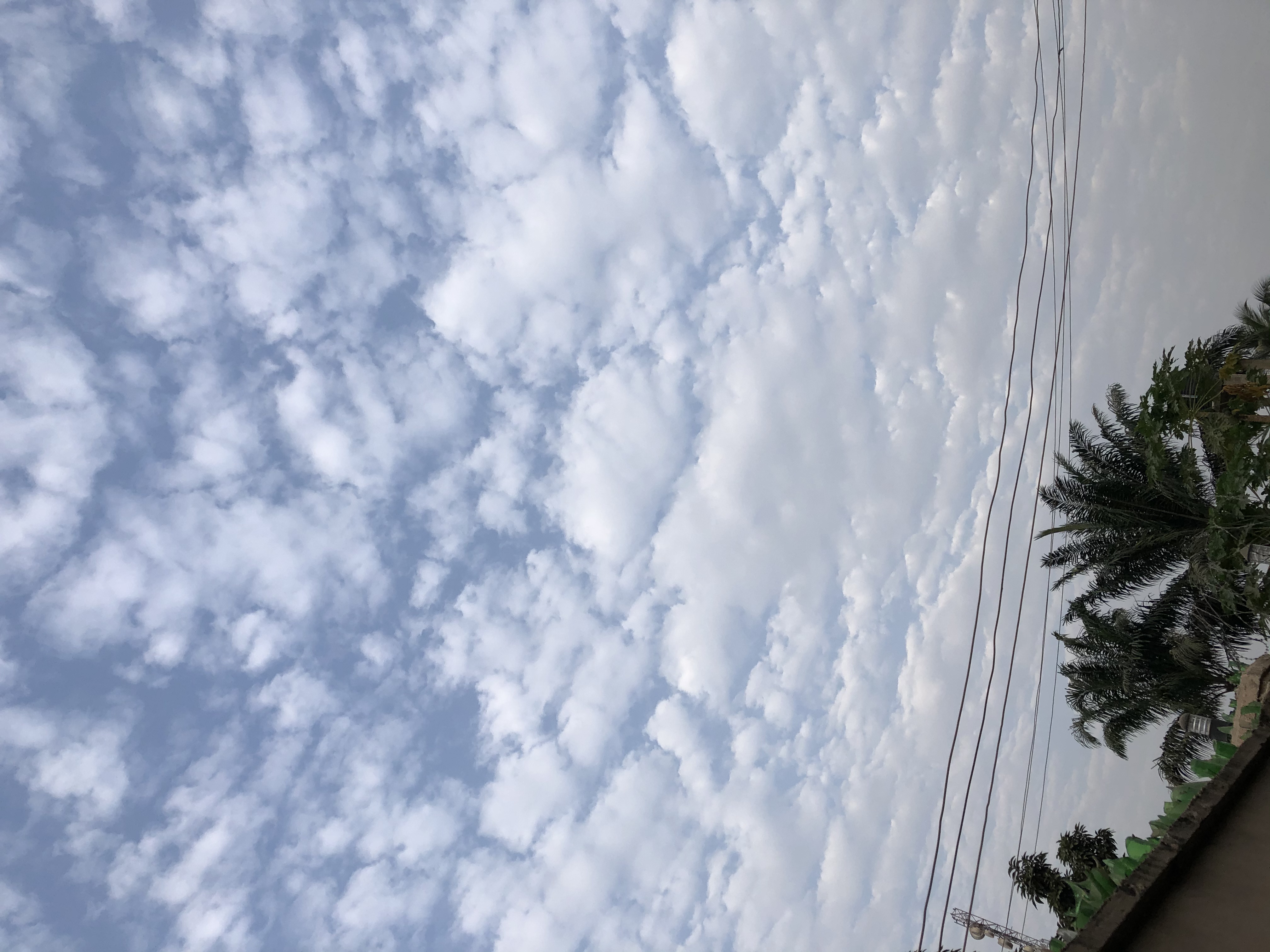 F9347AA3-6284-4C86-BBF2-B4D4CF296DB7.jpeg
