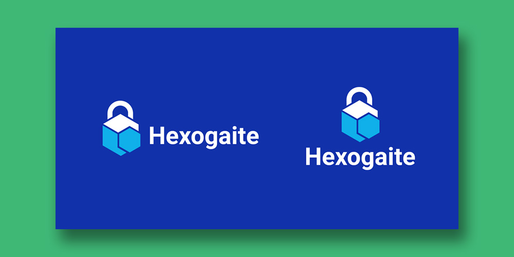 LOGO DESIGN_Hexogaite _PRESENTATION_6.jpg