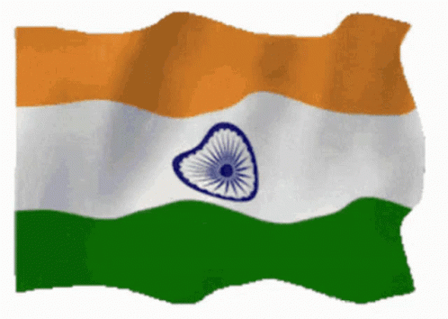 IndiaIndianFlagGIF.gif