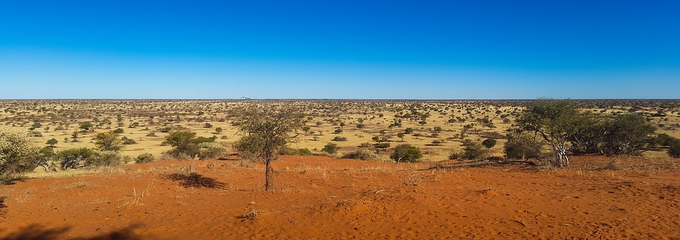 kalahari-desert.jpg