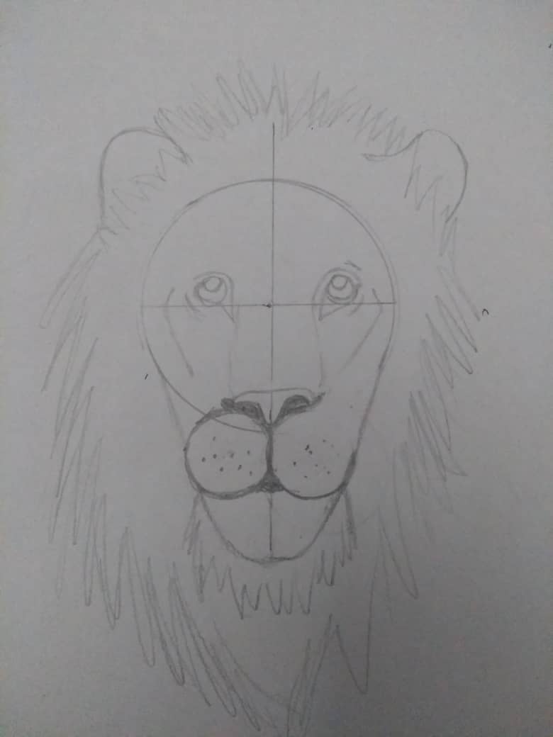 Lion Portrait | Inside The Outline