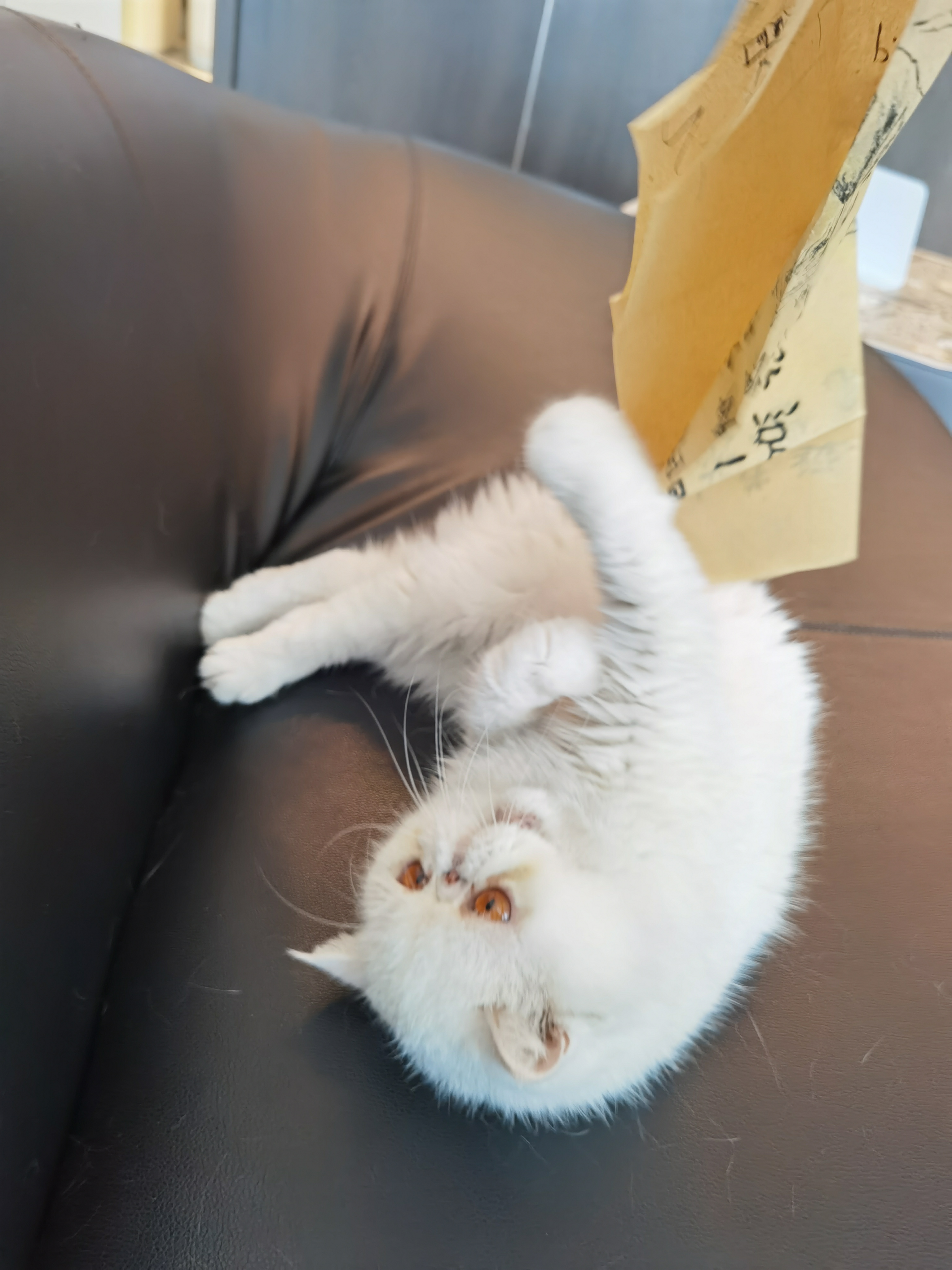 玩.jpg