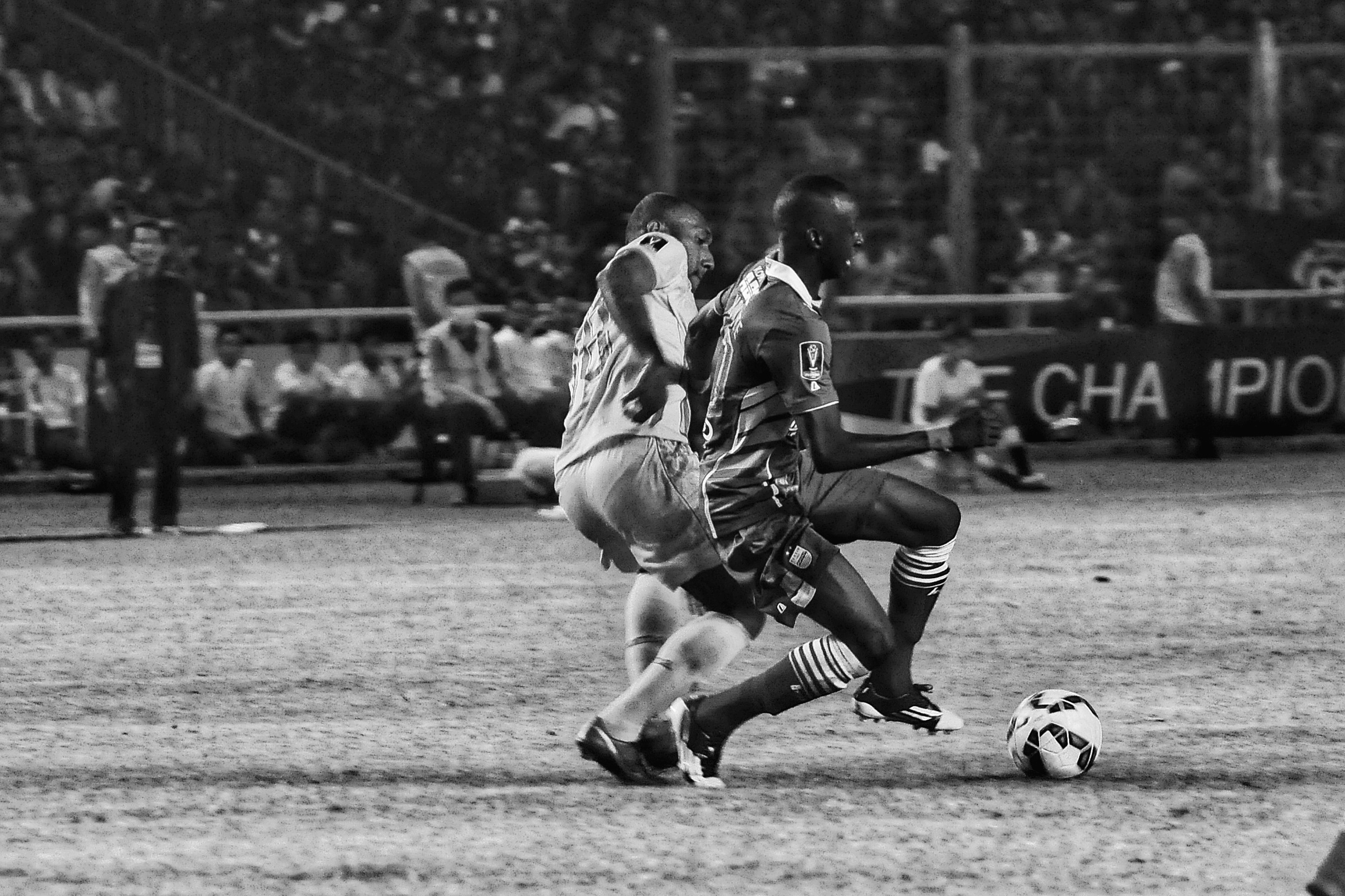 DSC_0043-01.jpeg