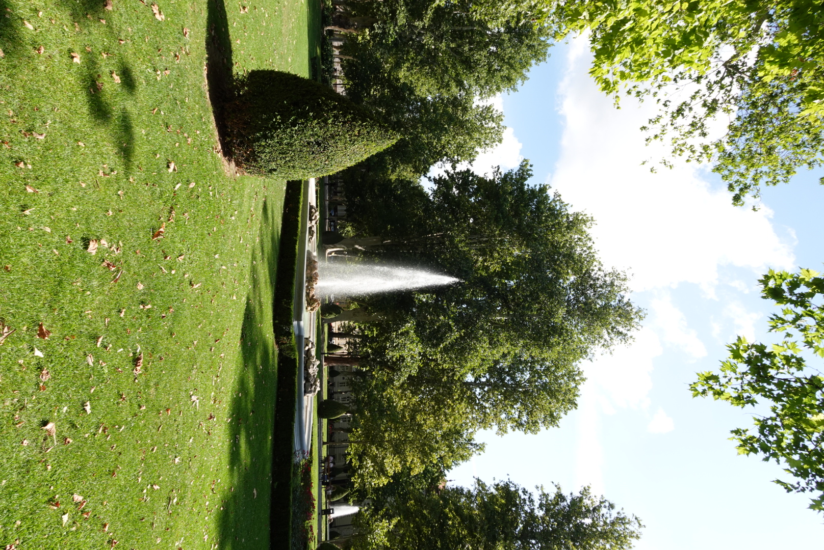 DSC00015.jpeg