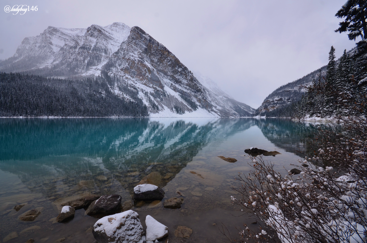 lake louise (16).jpg