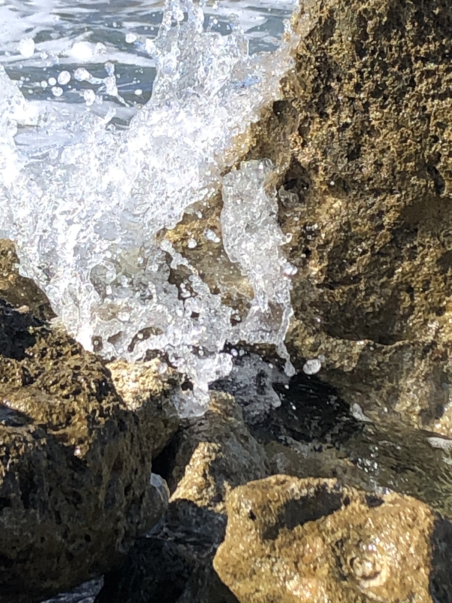 IMG_3557.JPEG