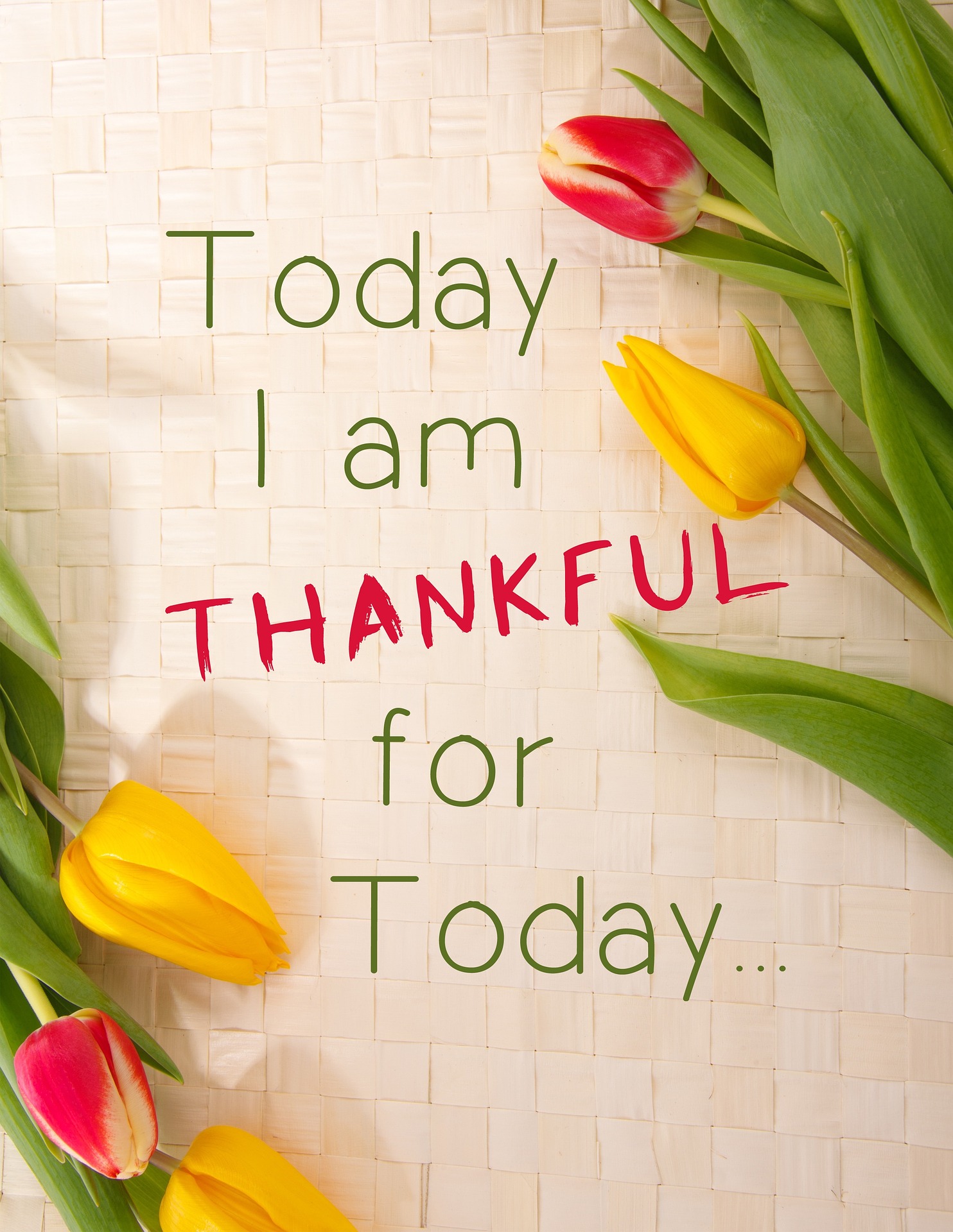 thankful-1081614_1920.jpg