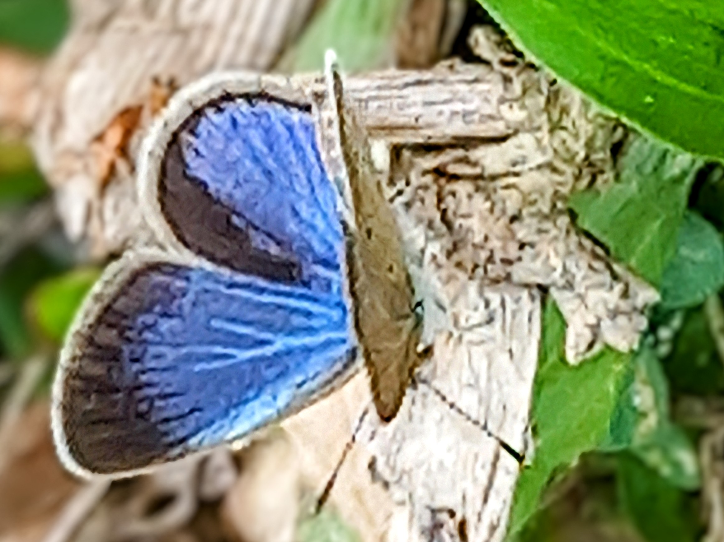 20250417_122704~3.jpg