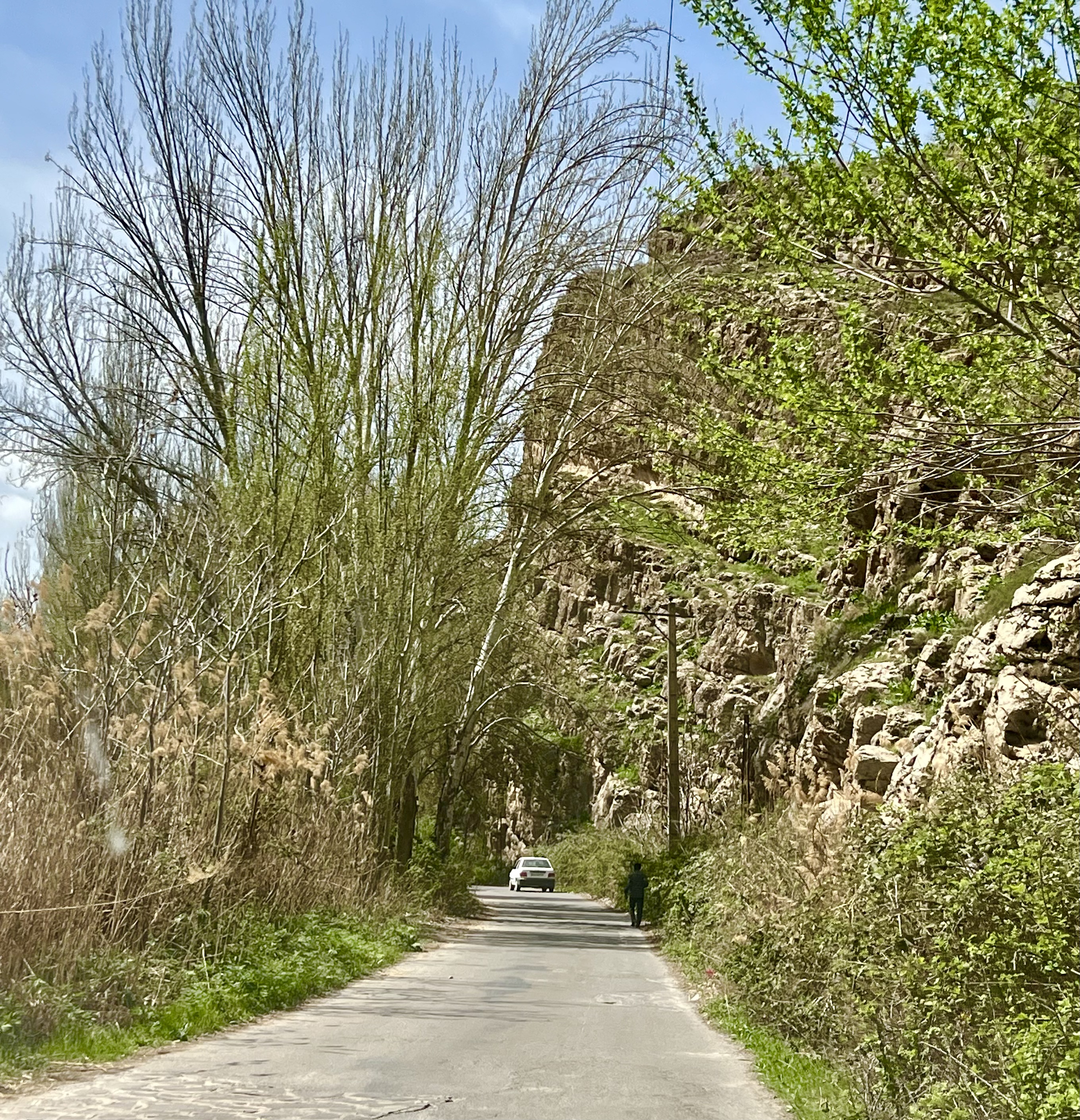 IMG_7600.jpeg