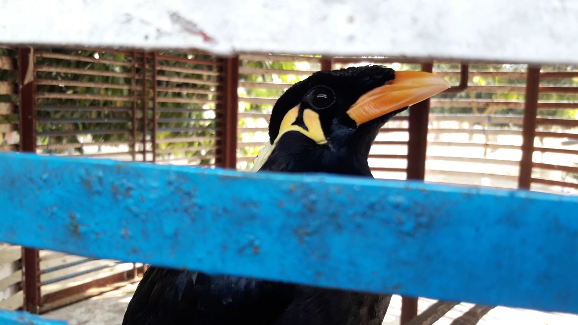 VideoCapture_20230128-164150.jpg