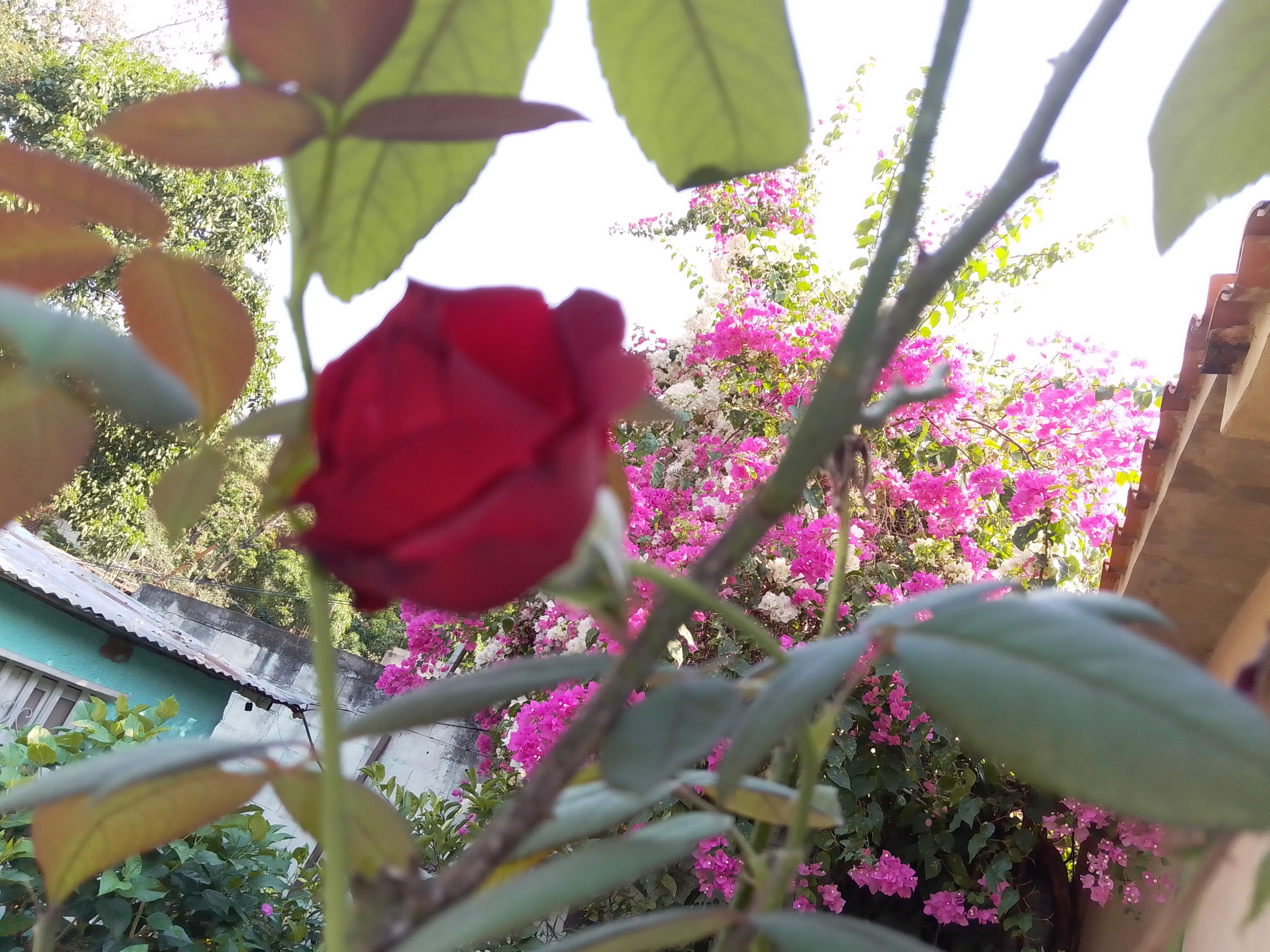 InShot_20250614_210414912.jpg