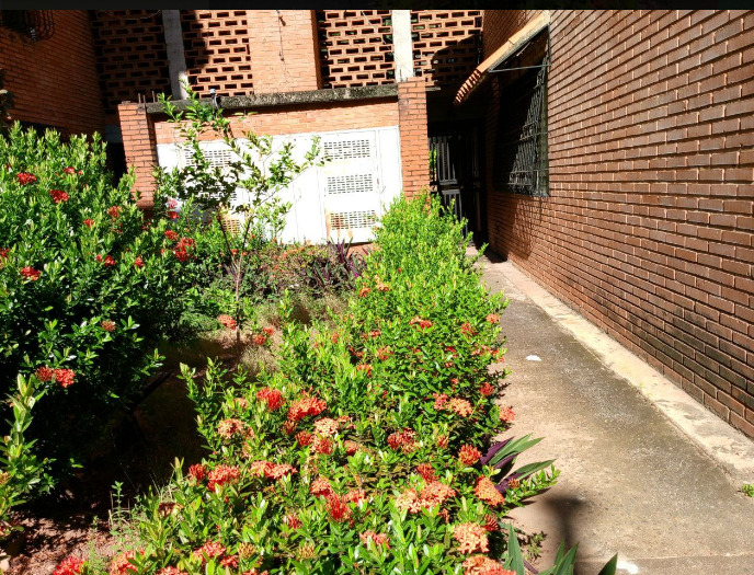 ixora5.png