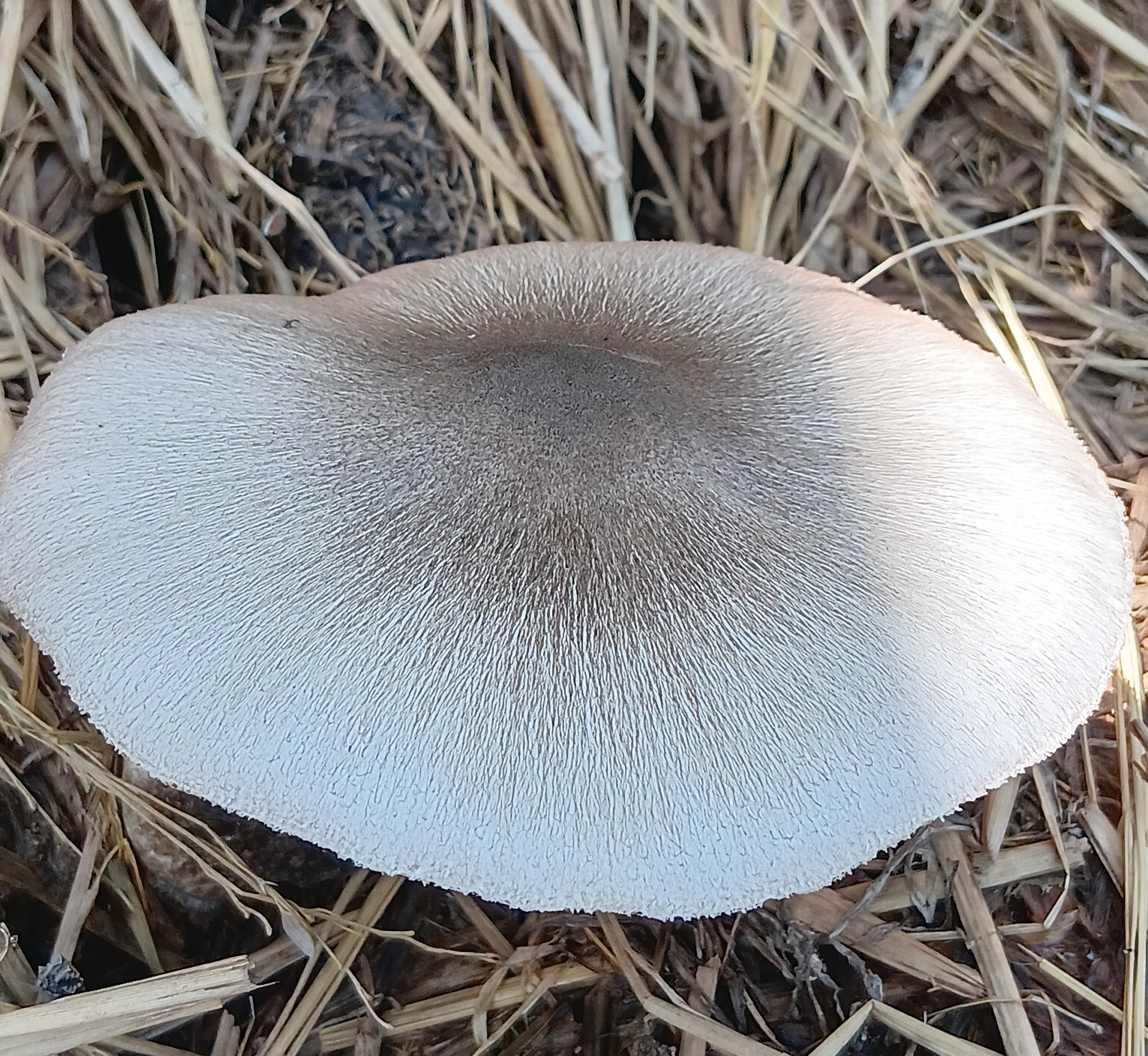 20250826_105707.jpg