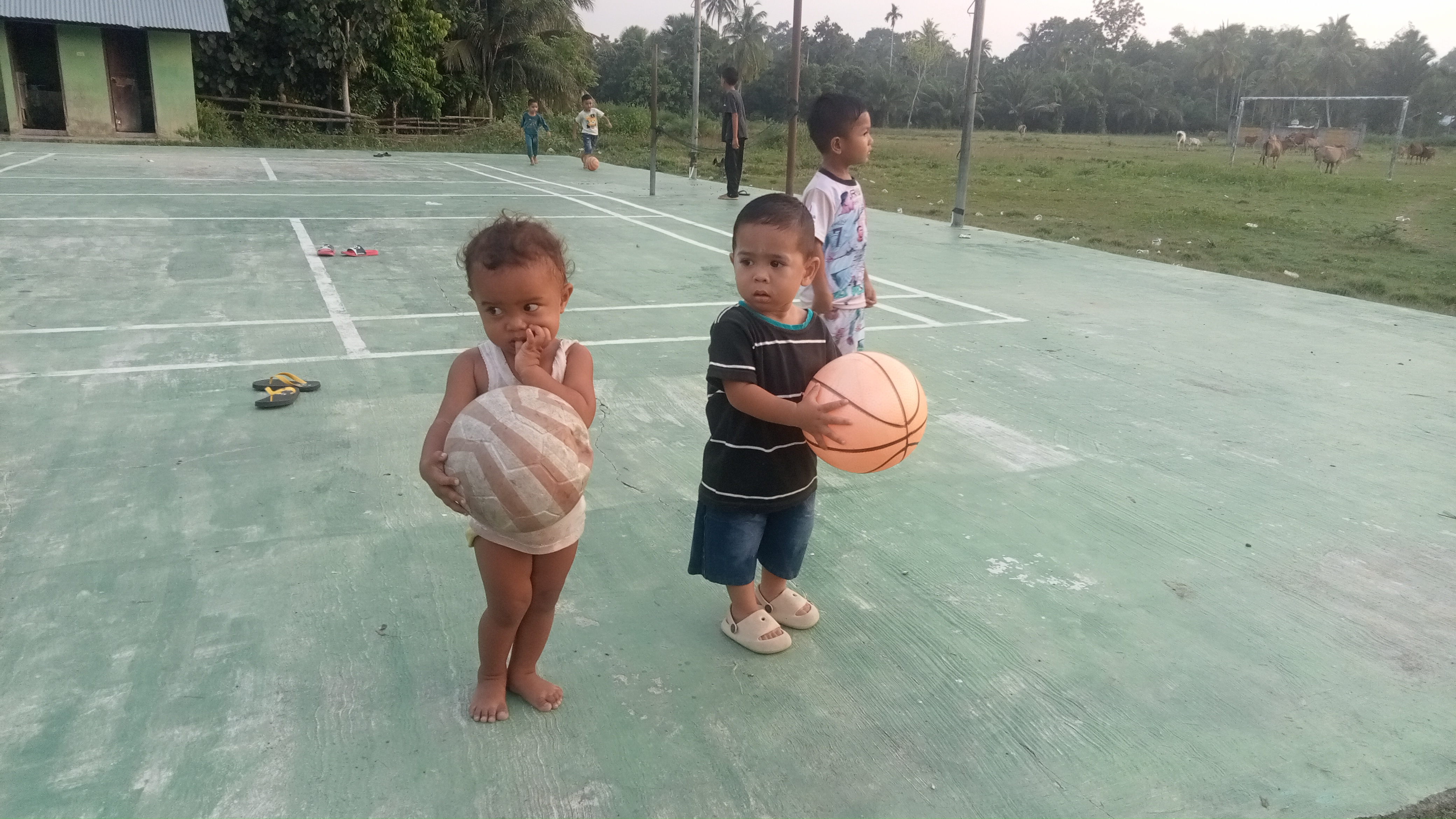 IMG20240720182812.jpg