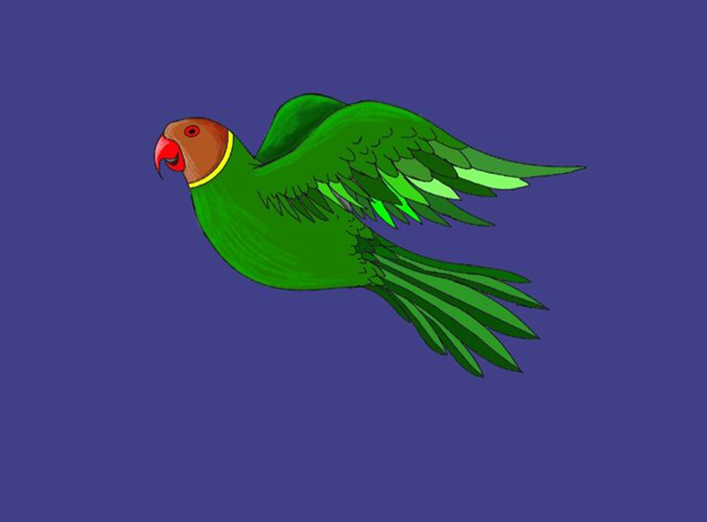 Parrot flying - Template - edding