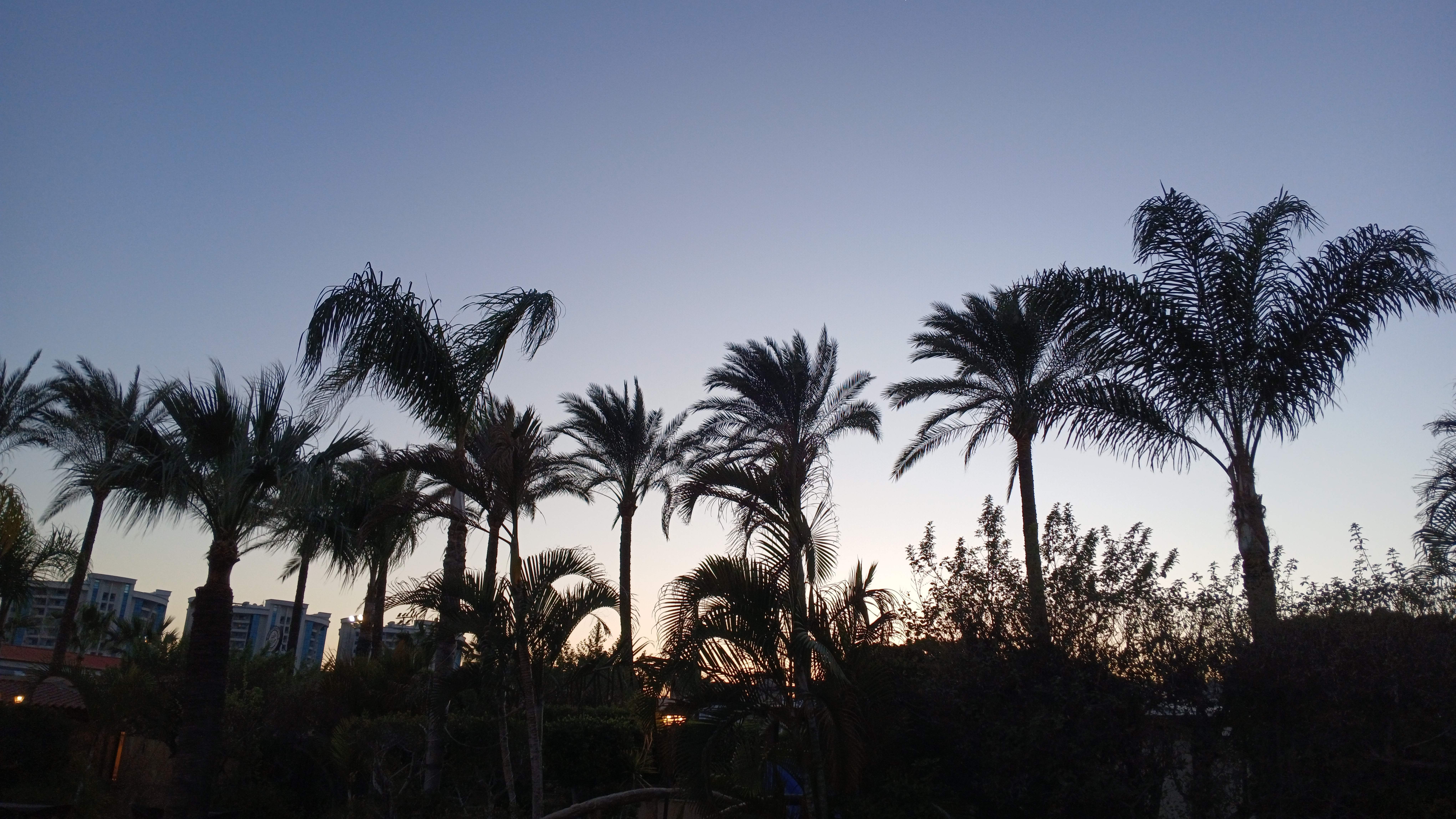  "20250216_094907_copy_8160x4592.jpg"