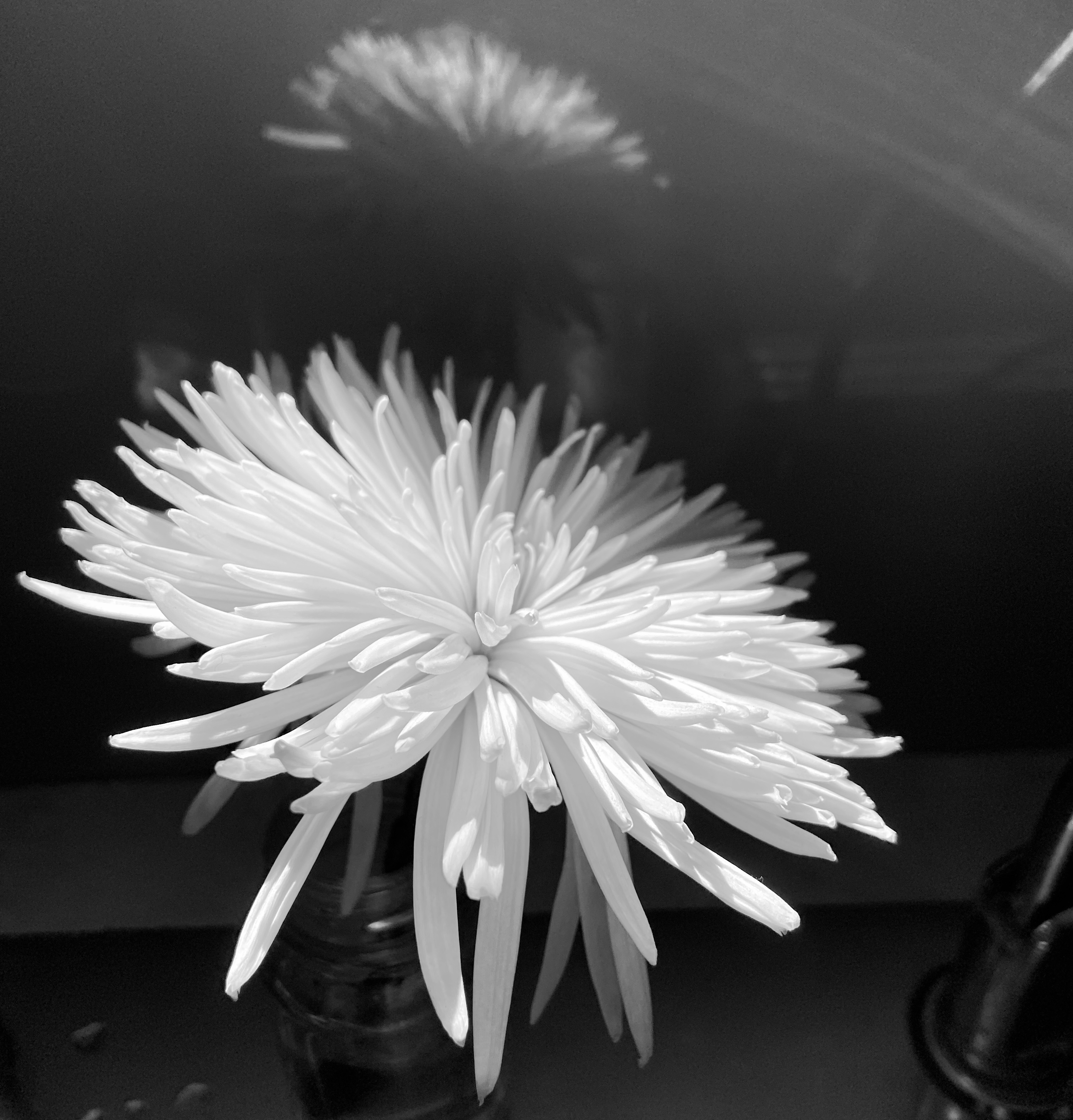 E60D76EB-1760-44D6-8963-607BC88E1E5A_1_201_a.jpeg