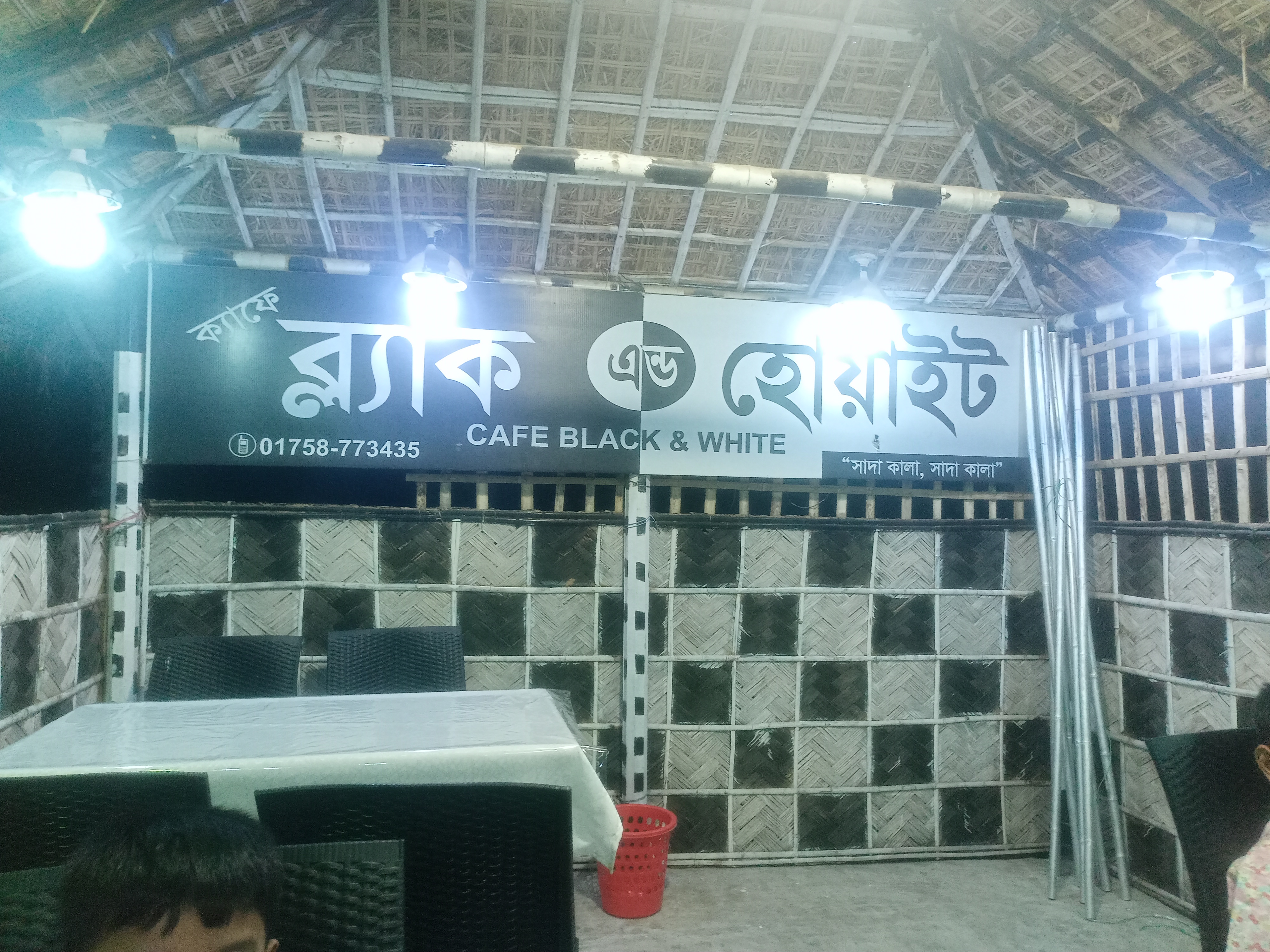 IMG20250331190333.jpg