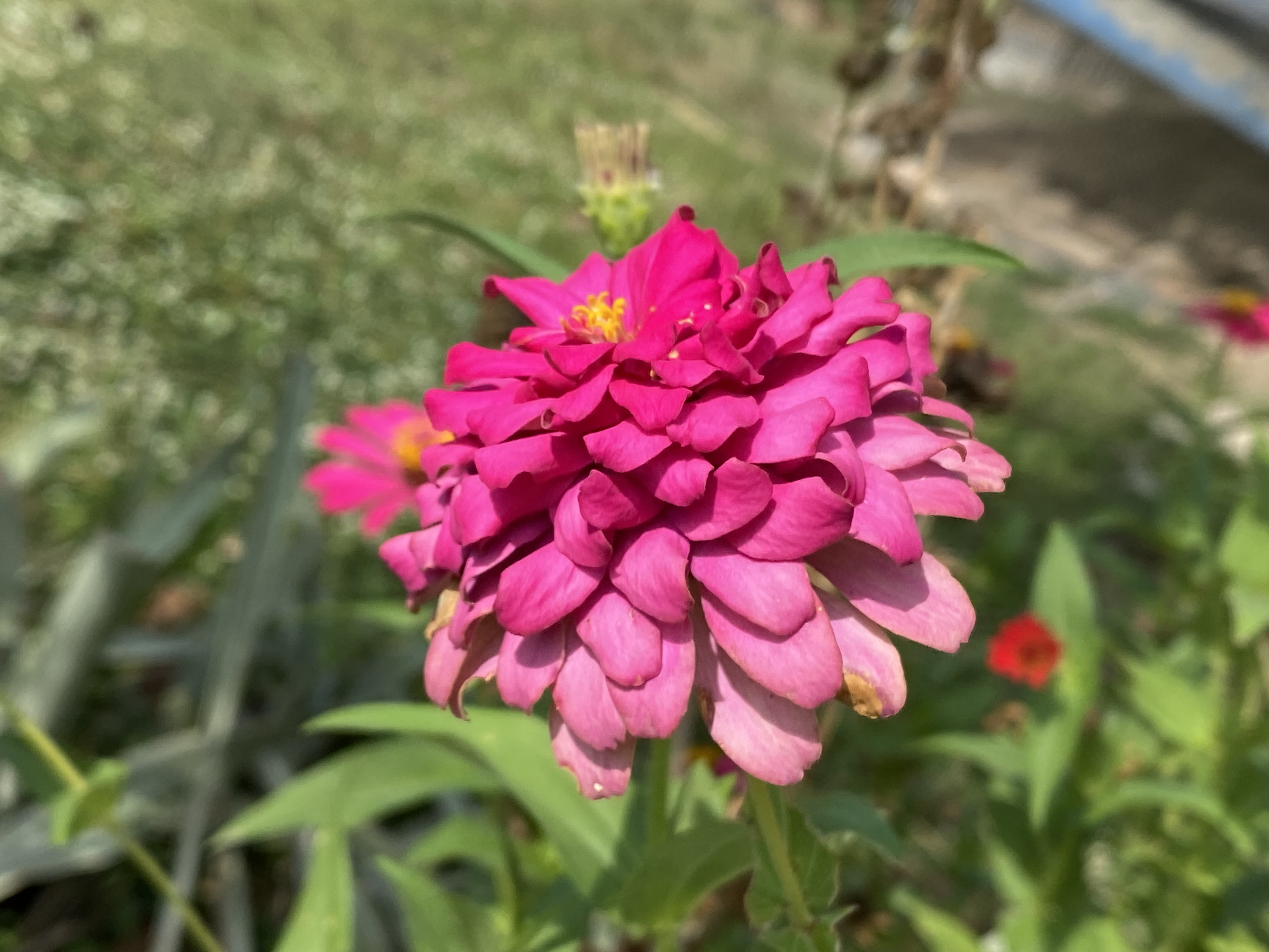 IMG_3584.jpeg