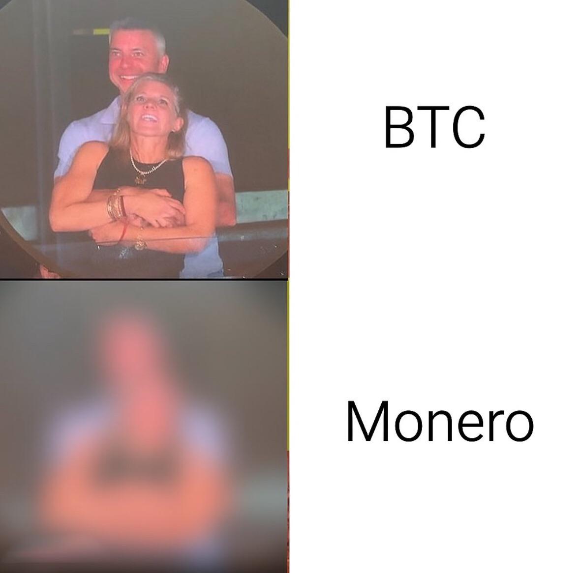 m4xu53x5bqdf1.jpeg