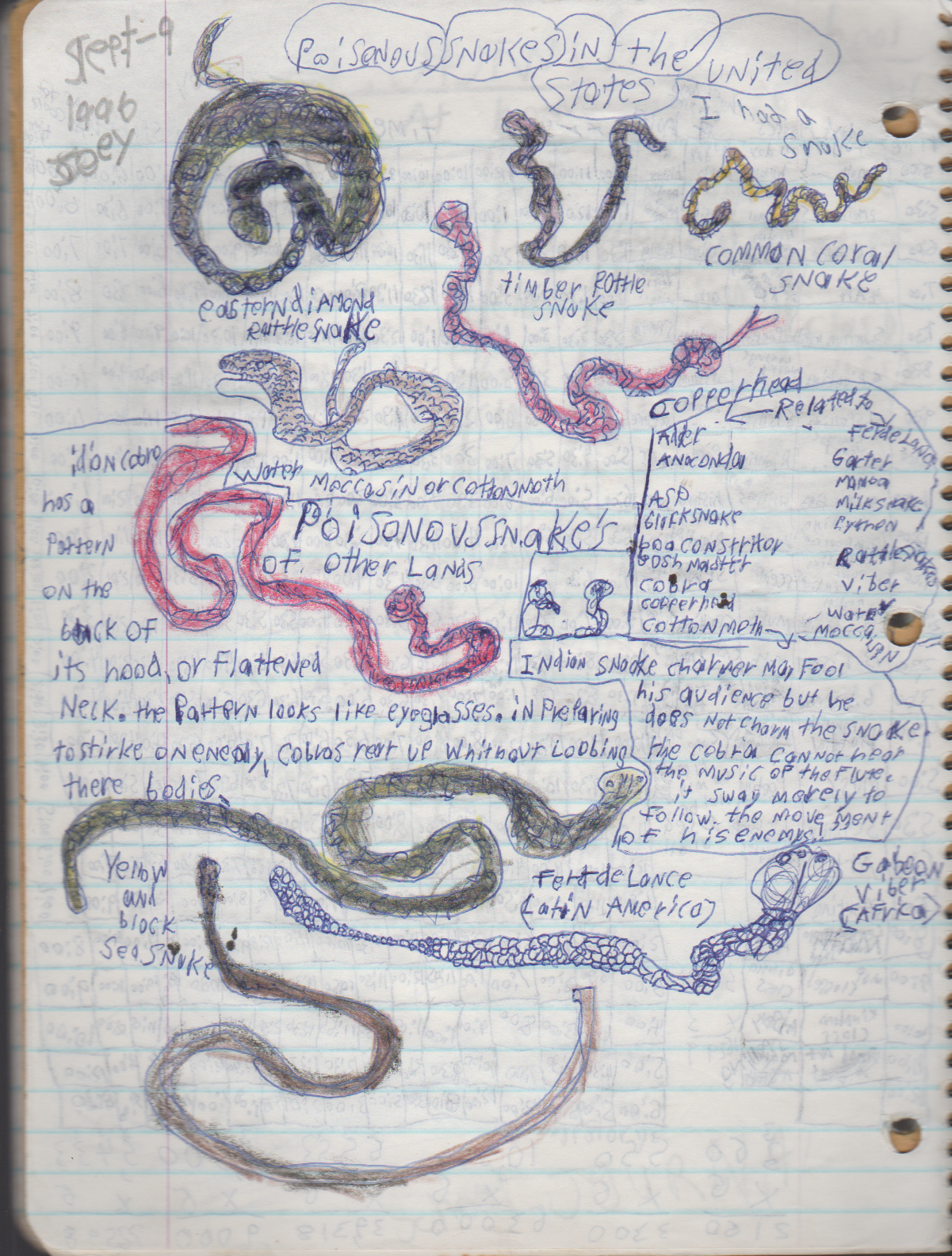 1996-08-18 - Saturday - 11 yr old Joey Arnold's School Book, dates through to 1998 apx, mostly 96, Writings, Drawings, Etc-004.png