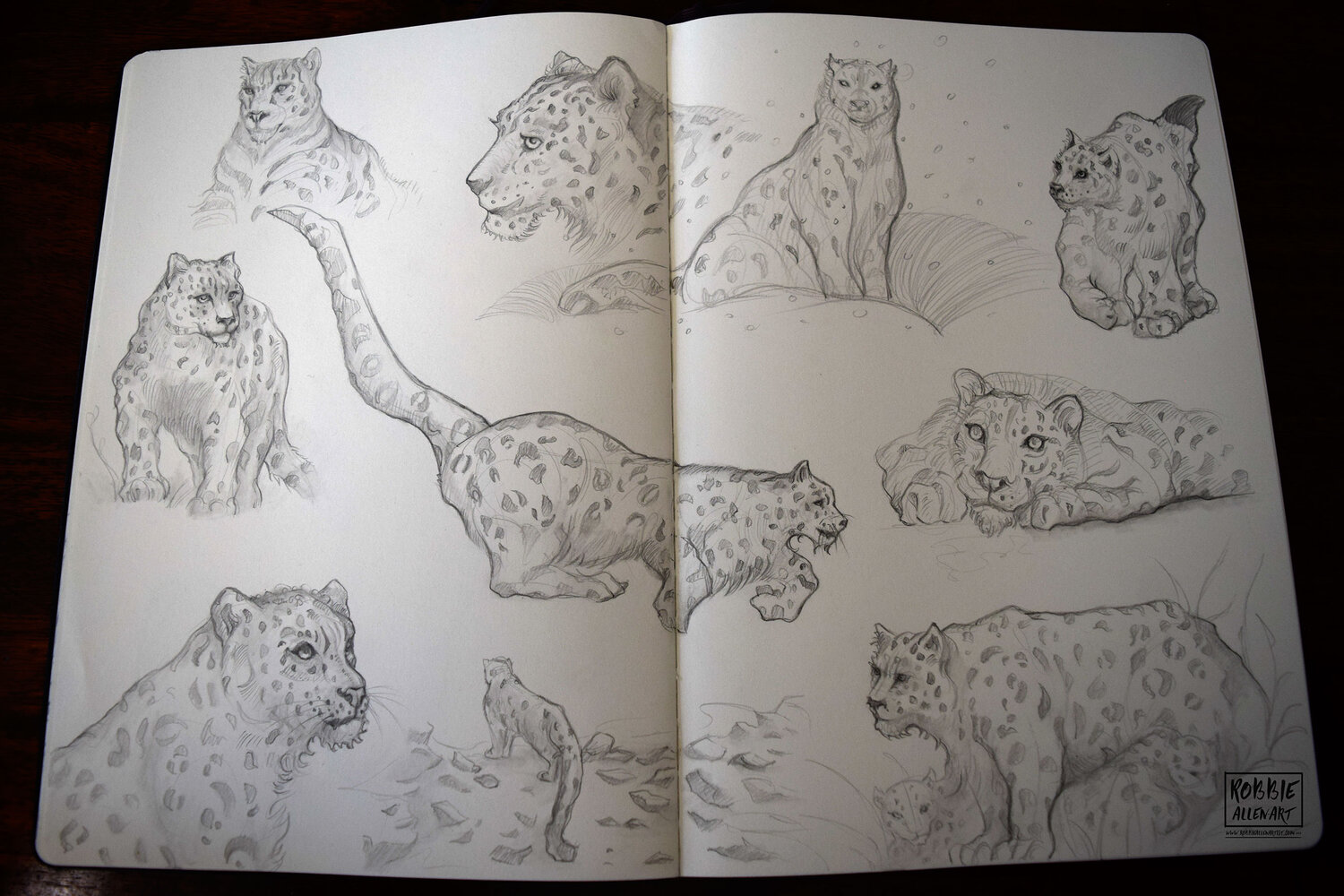 Snow-Leopard-Warm-Up-9-robbieallenartist.jpg