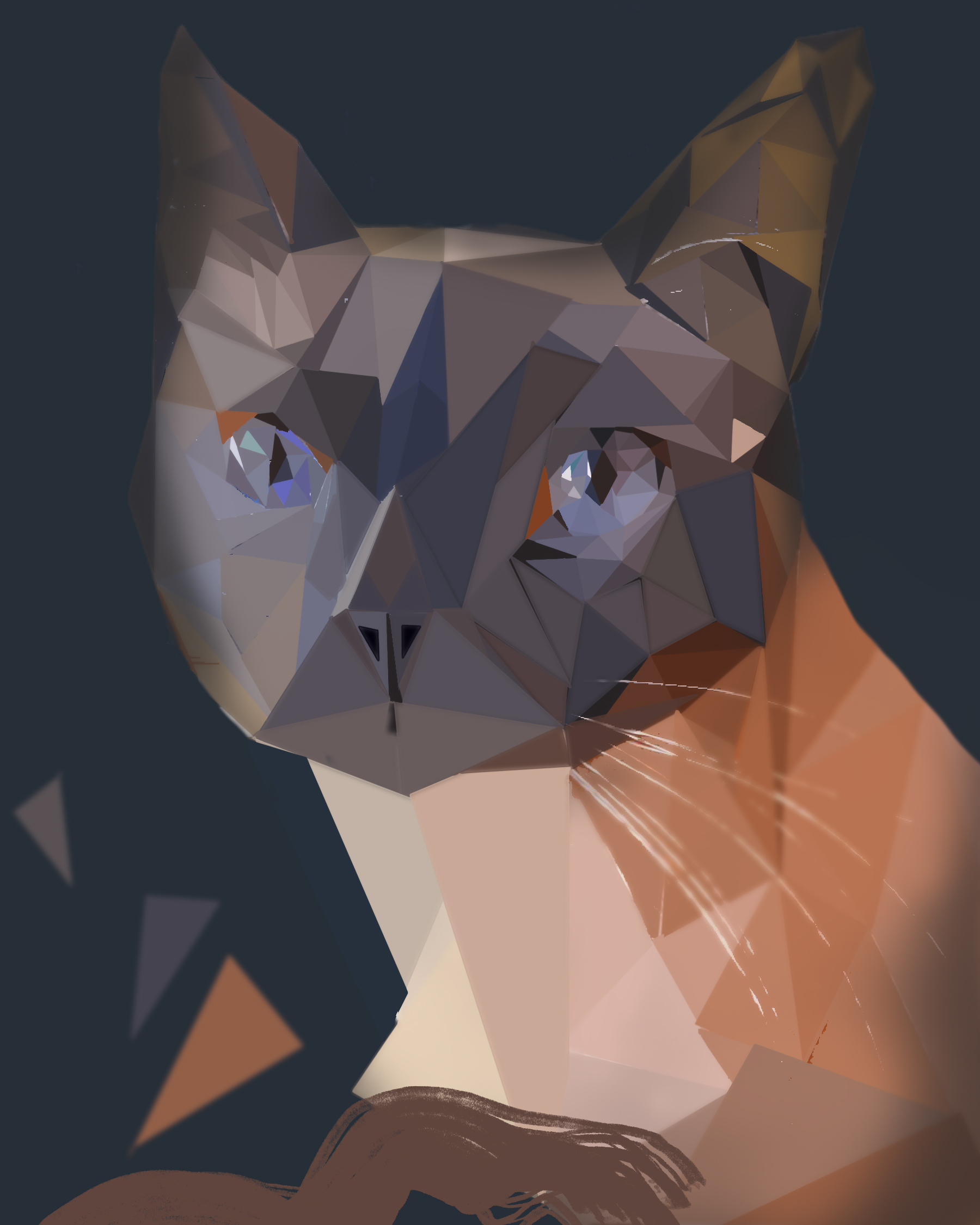 cat.jpg