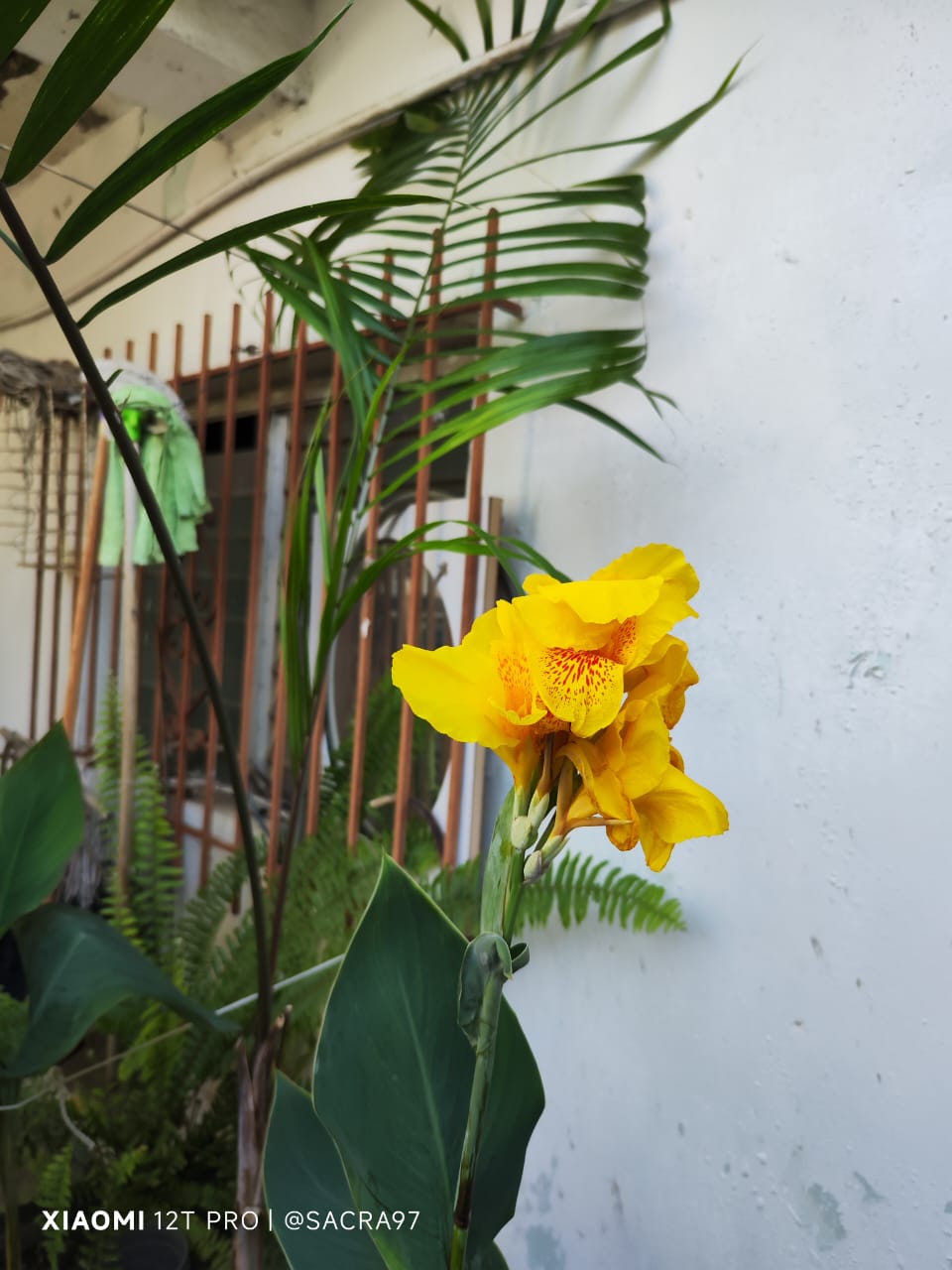 Sin título-3.jpg
