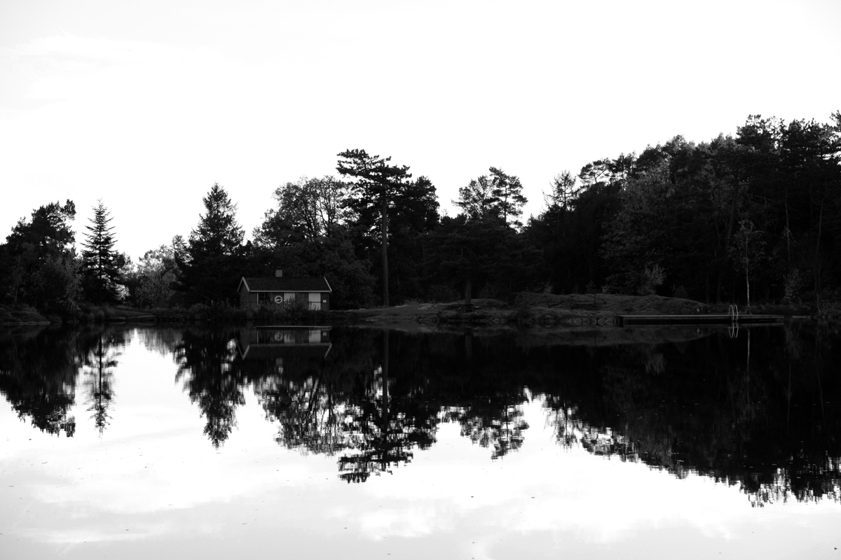 DSC_120.JPG
