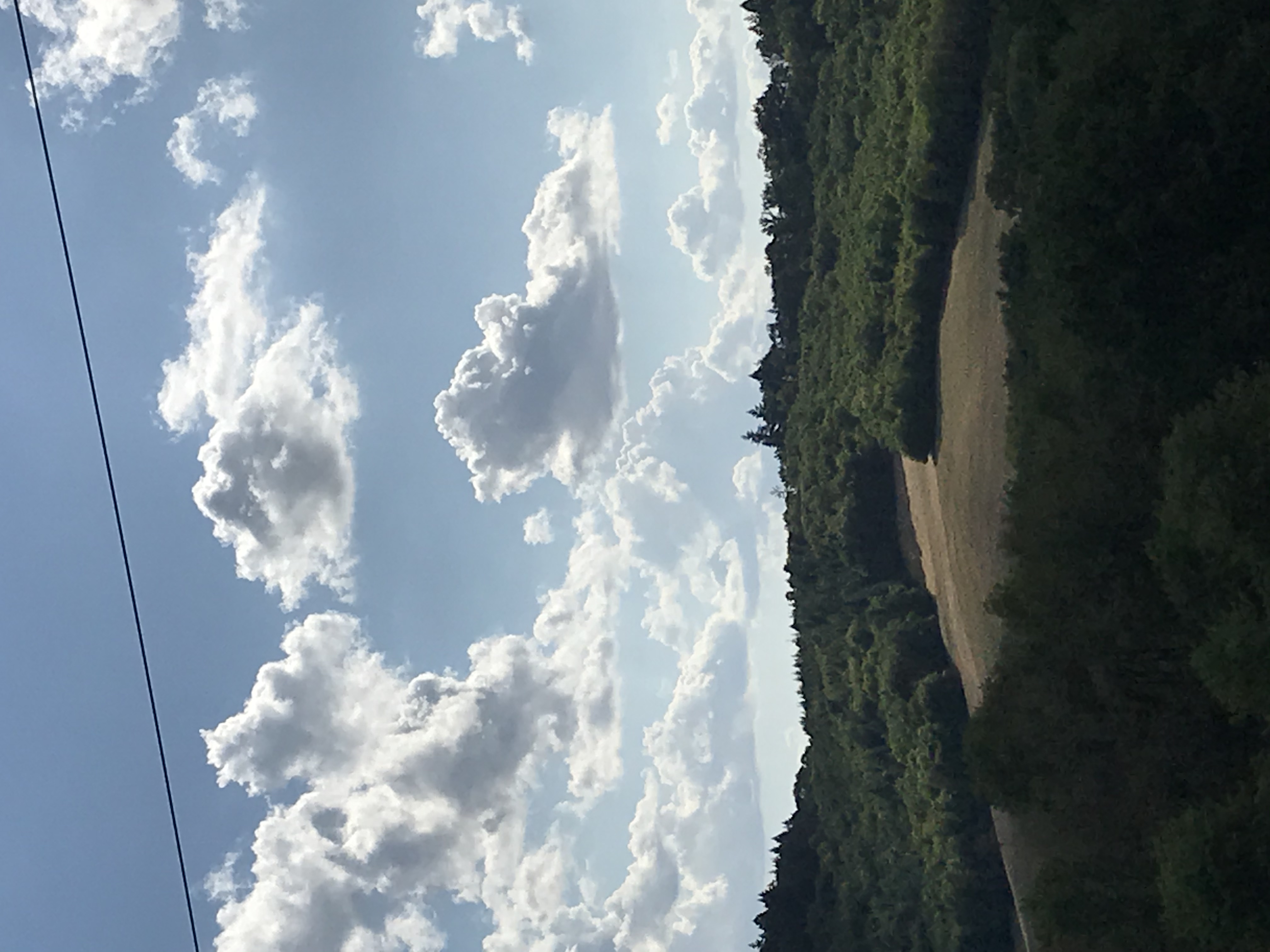 IMG_7483.jpeg