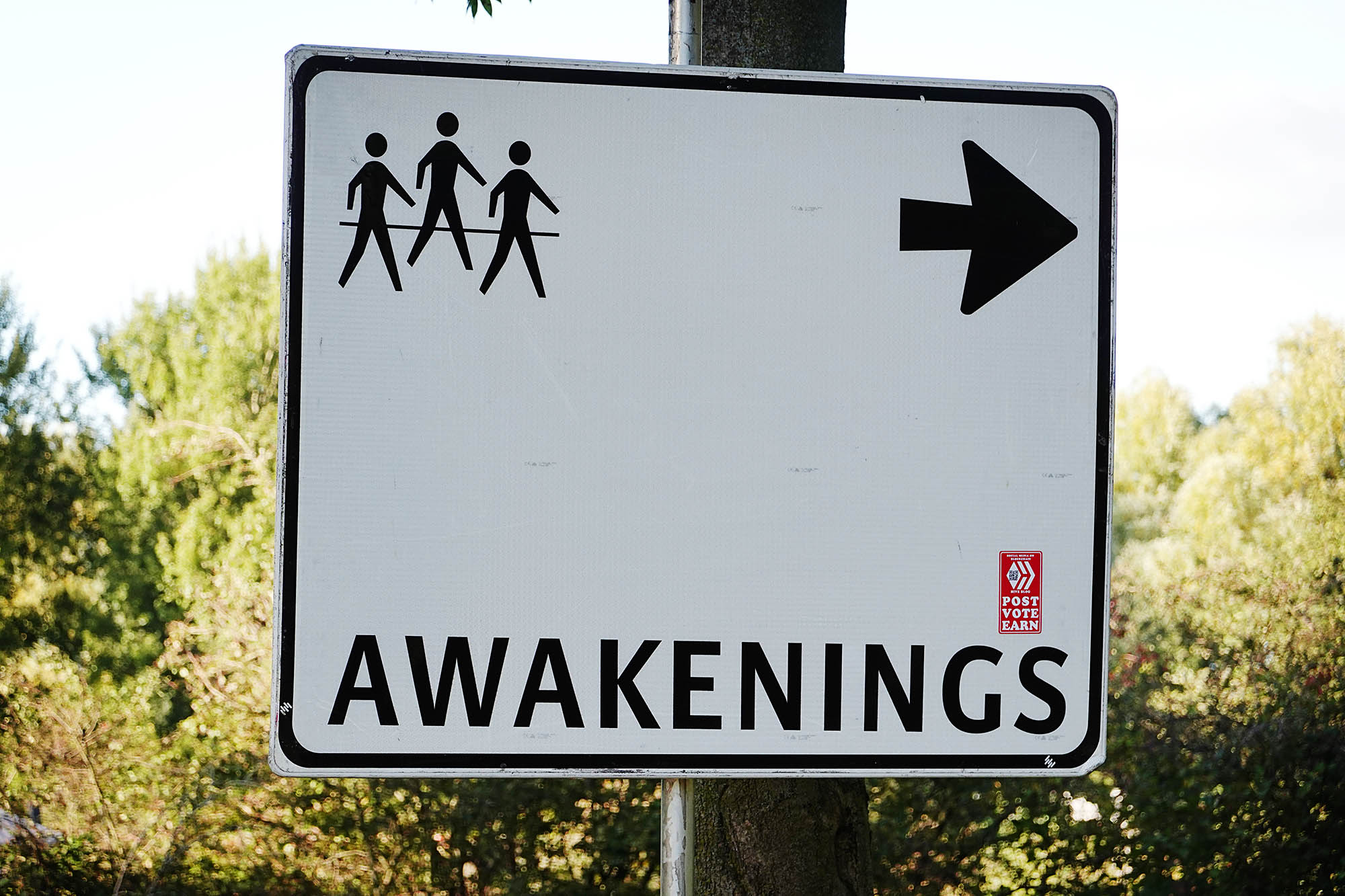 awakenings1a.jpg