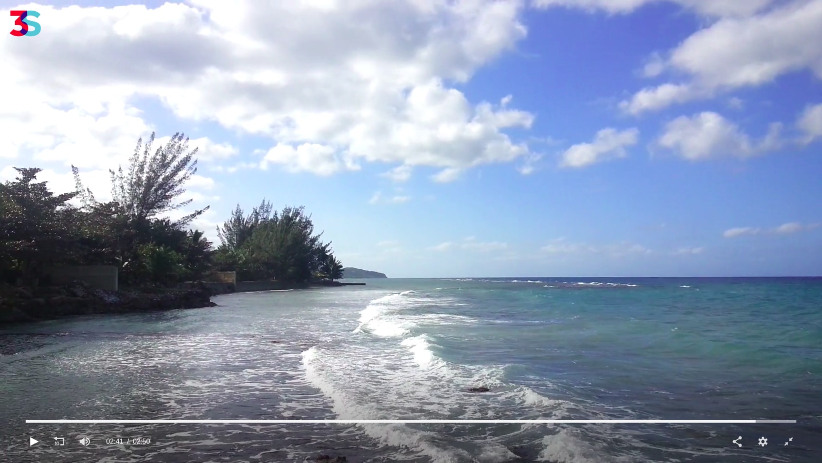 Jamaican Rough Coast Beauty.jpg