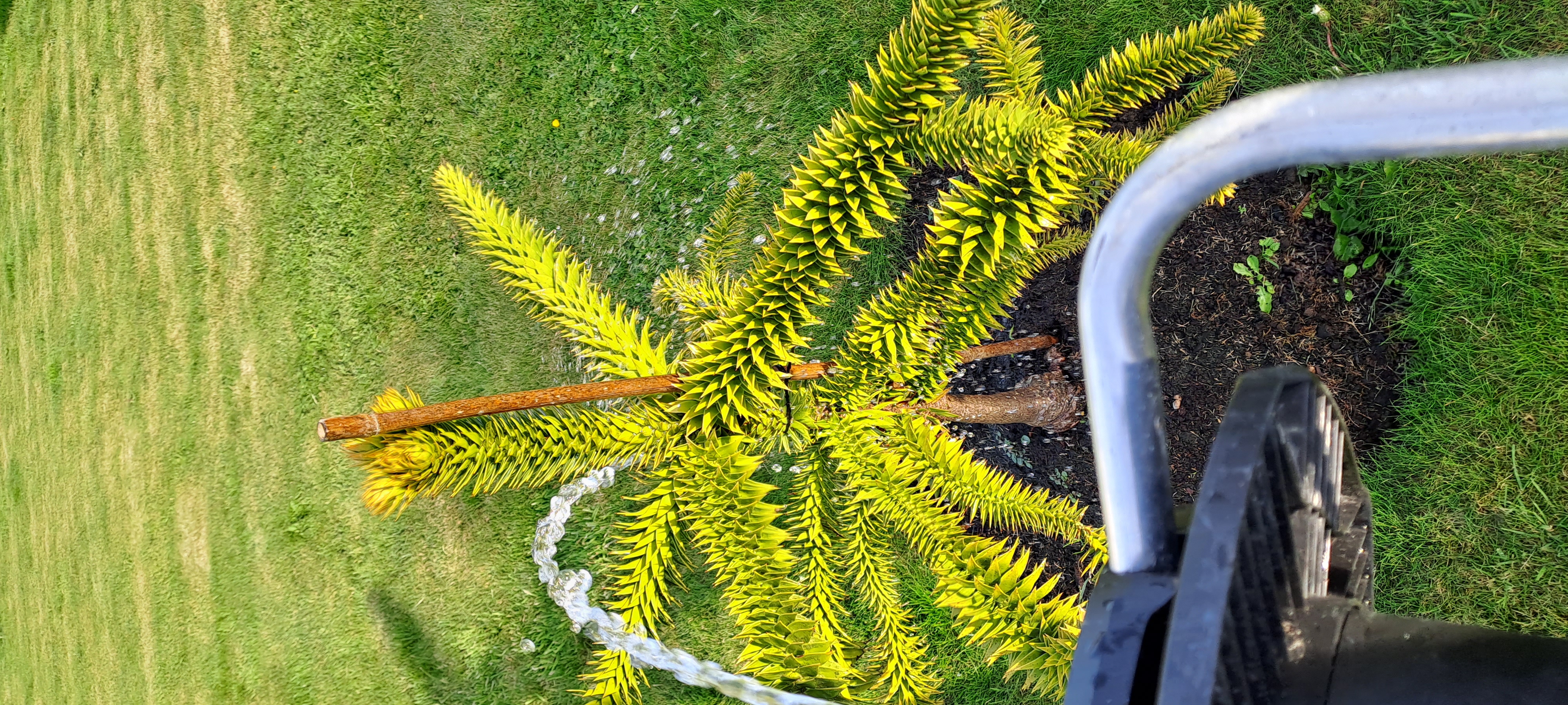 20230529_193936.jpg